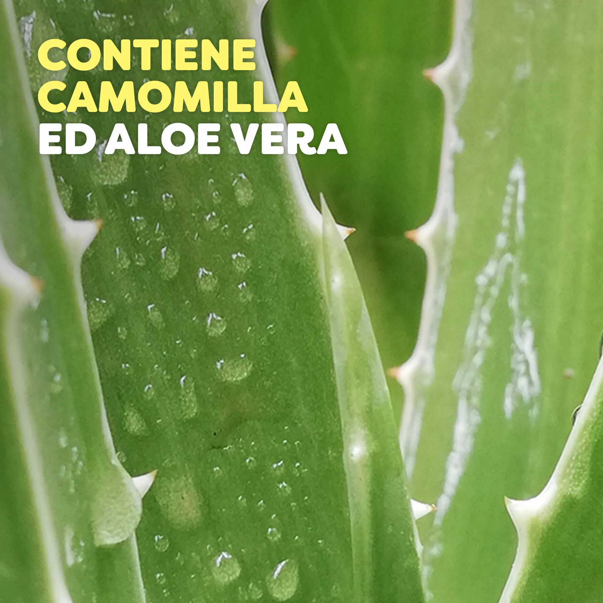 Autan Dopopuntura Insetto Repellente Antizanzare Lozione Aloe Vera Camomilla 25 ml