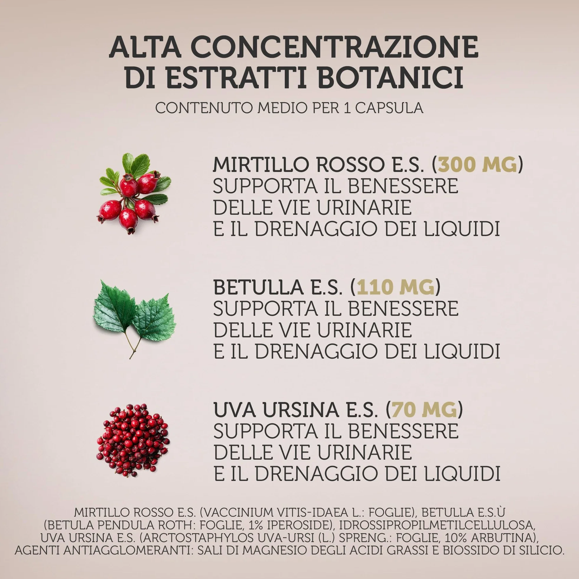 Integratore 100% naturale con MIRTILLO ROSSO E UVA URSINA - utili per la funzionalità delle vie urinarie, con BETULLA - 30 capsule