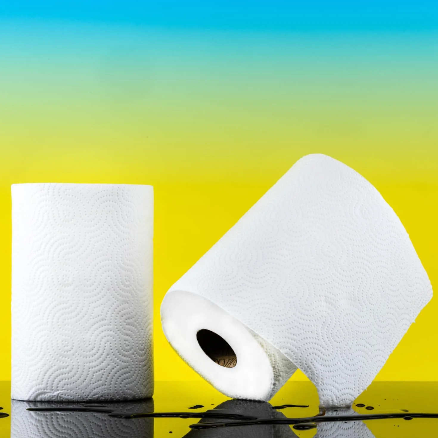 Renova Rotoli da cucina Maxi Absorption Extra XXL 2 rotoli formato triplo