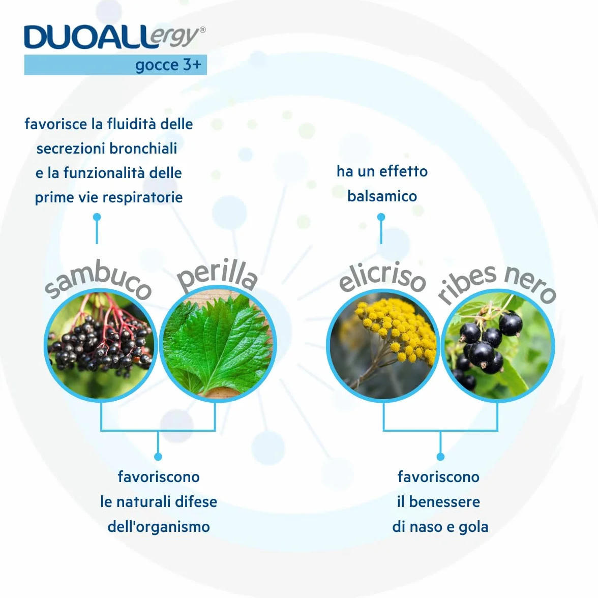GPP | DUOALLERGY® GOCCE 3+, Integratore Alimentare Bambini 3+, Sambuco, Ribes Nero, Perilla, Elicriso, Boswellia, Quercetina, Supporta la Prevenzione e il Trattamento delle Allergie-Flacone 30ml