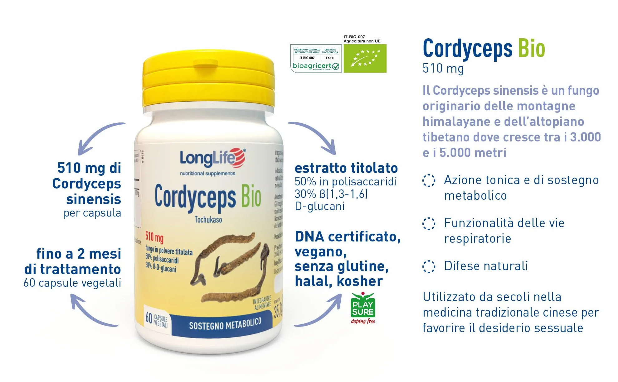 LongLife® Cordyceps Bio | DNA certificato | titolato al 50% in polisaccaridi e al 30% in β(1,3-1,6)-D-glucani | Energia e vitalità | Difese naturali | 60 capsule vegetali | Vegano e senza glutine