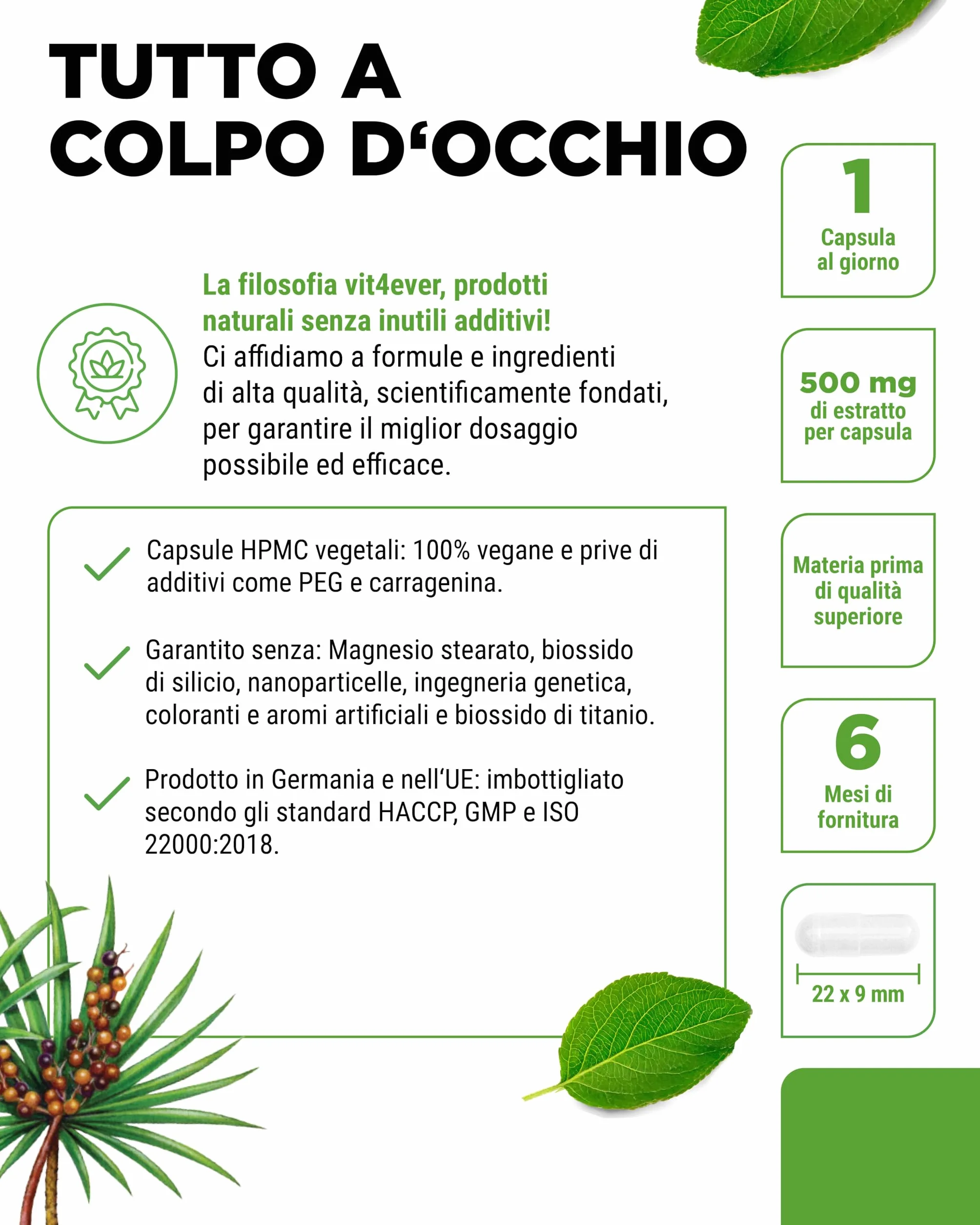 Vit4ever Estratto di Saw Palmetto 180 capsule 500 mg 5% fitosteroli 25 mg Vegano