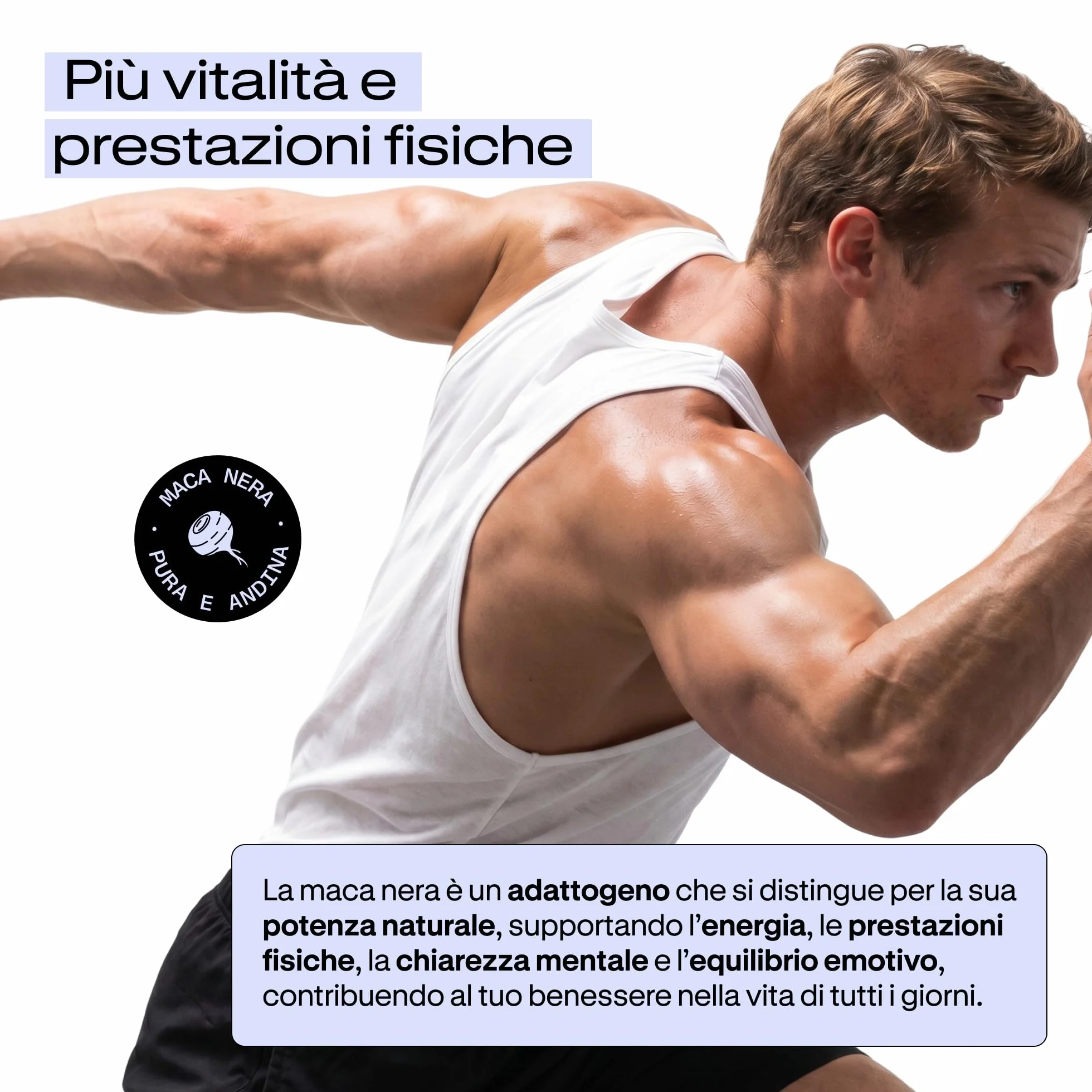 Maca Nera Peruviana ad Alto Dosaggio | 40.000mg - Estratto 20:1 | 5 Mesi | Energia e Vitalità | Uomo e Donna | Prestazioni, Resistenza ed Equilibrio | 140 Capsule Vegane Altamente Concentrate