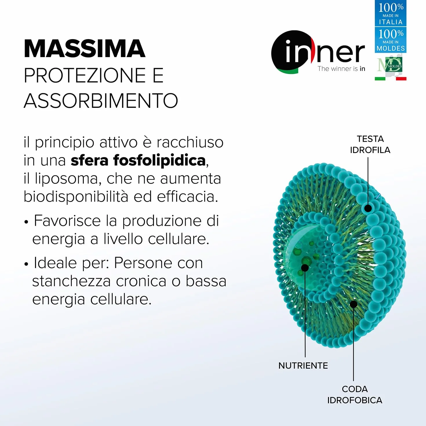 Inner Q10 Liposomiale 60 cps - Integratore Coenzima Q10 ad Alta Biodisponibilità per Azione Antiossidante, Energia Cellulare, Cuore e Performance