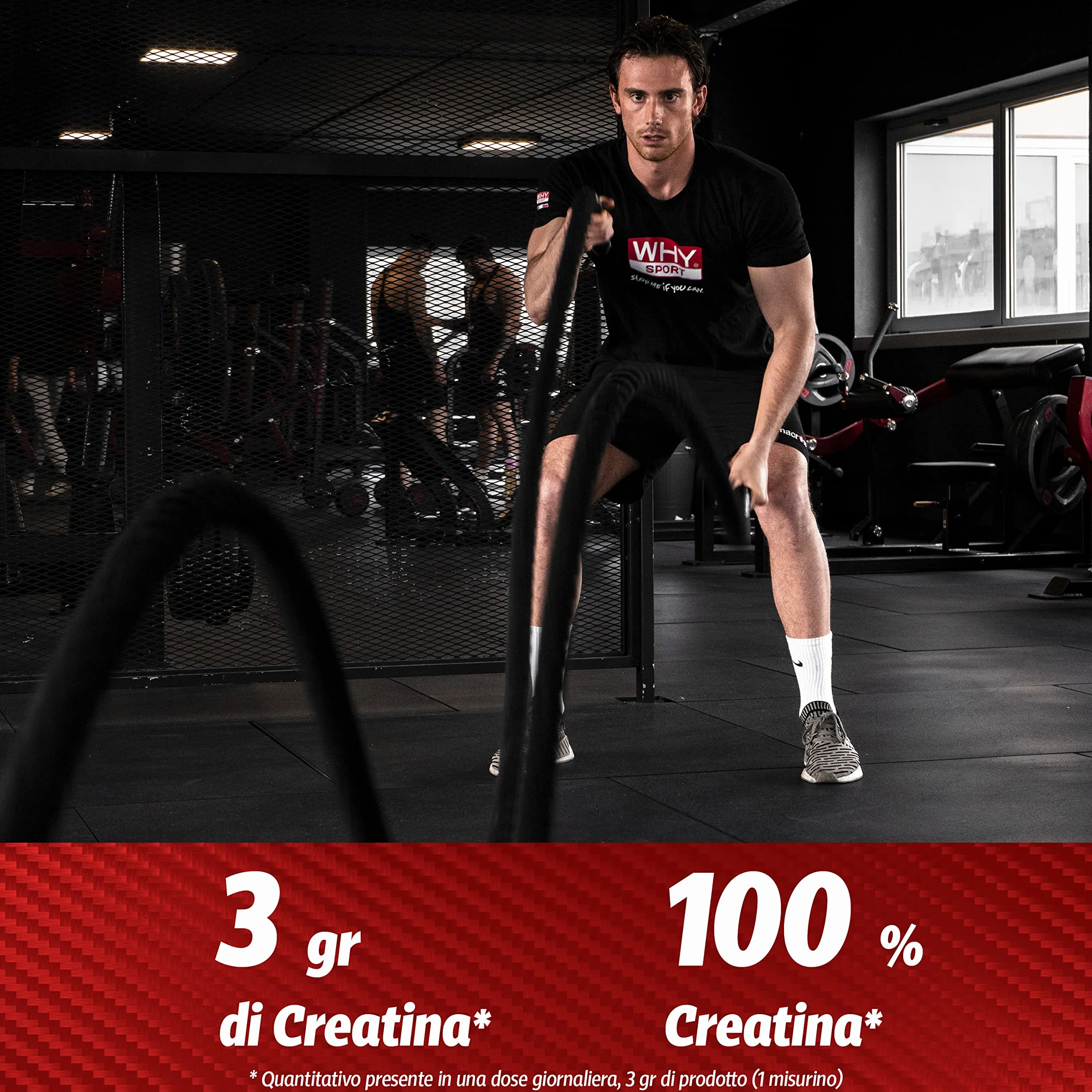 WHY SPORT CREATINA PURE - Creatina Monoidrato - Pre Workout - Integratore Alimentare a Base di Creatina Monoidrato Creapure - 300 g