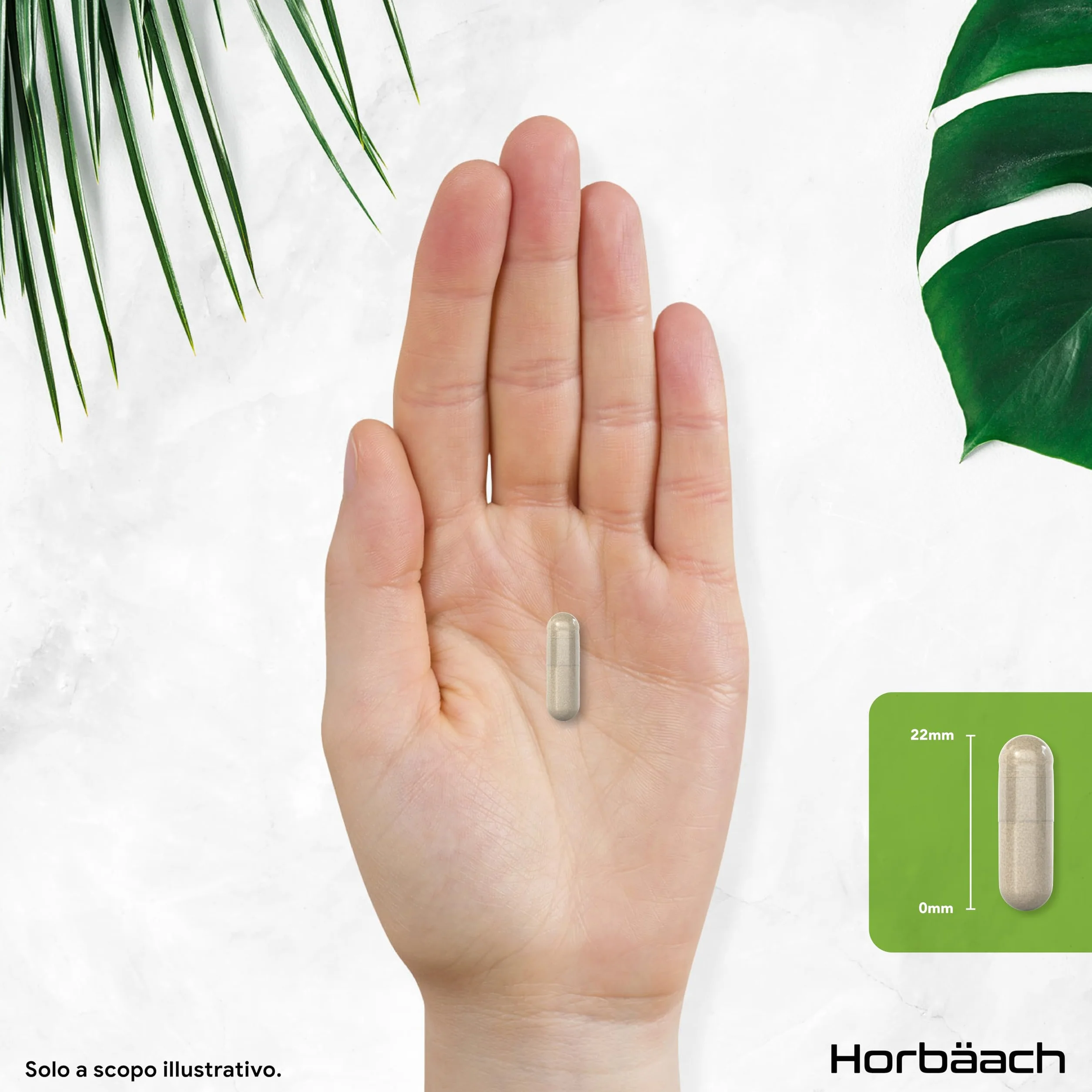 Horbaach Liver Complex 120 Capsule Vegane Integratore Depurativo Fegato Funzione Epatica