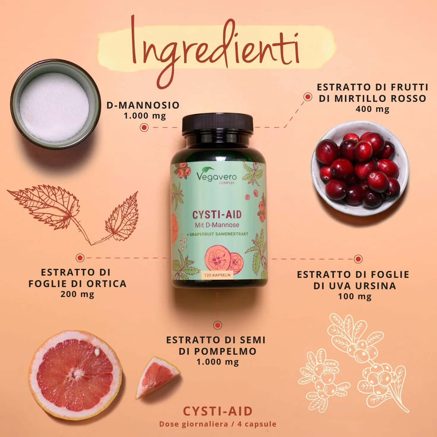 Vegavero® Integratore CISTITE 120 capsule D-Mannosio Mirtillo Rosso Uva Ursina Benessere Vie Urinarie