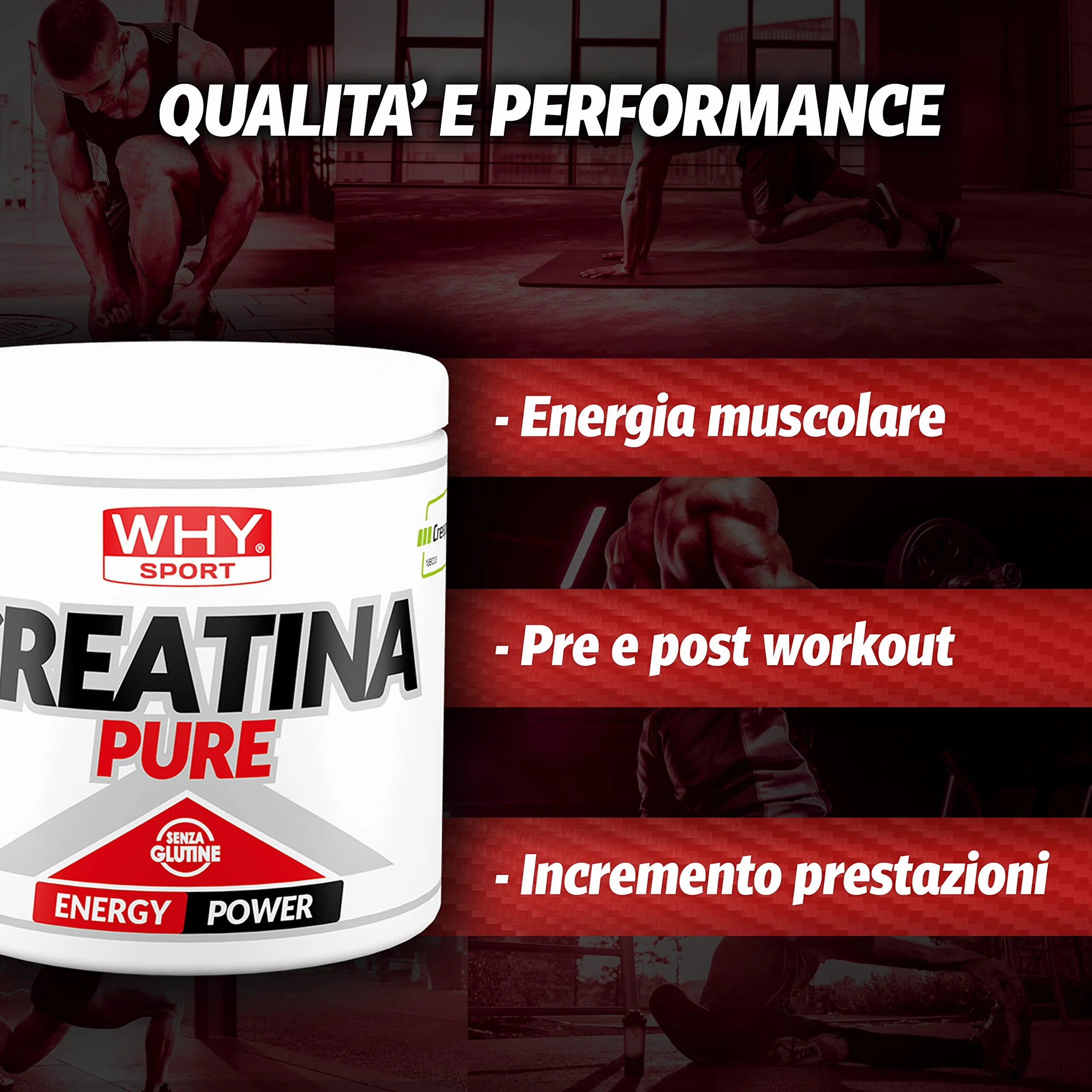 WHY SPORT CREATINA PURE - Creatina Monoidrato - Pre Workout - Integratore Alimentare a Base di Creatina Monoidrato Creapure - 300 g