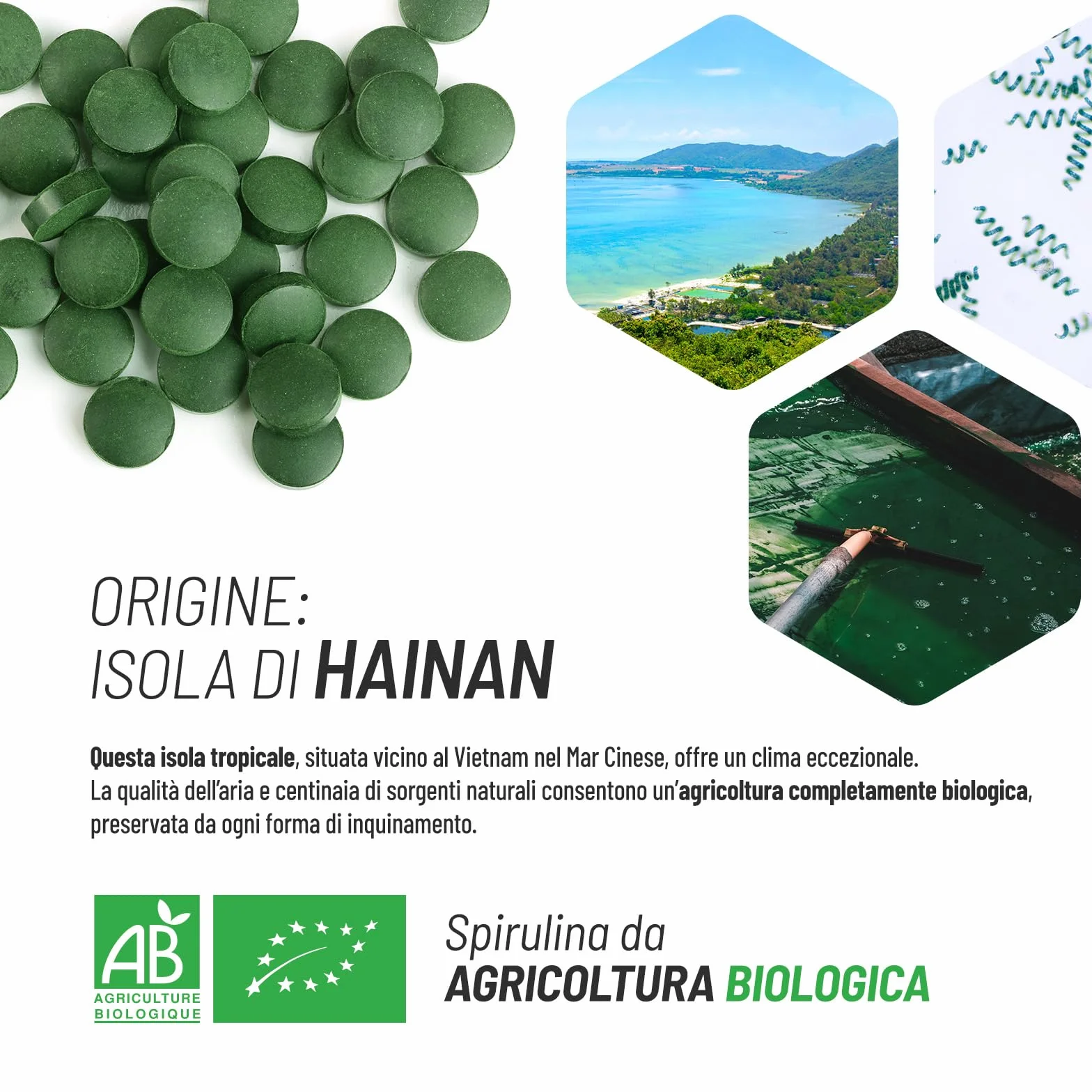 GPH Diffusion Spirulina Biologica 500mg 1000 compresse