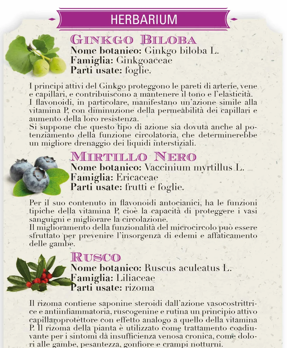 Helan I Rimedi Pomata Ginkgo Biloba Mirtillo Nero E Rusco 75 ml