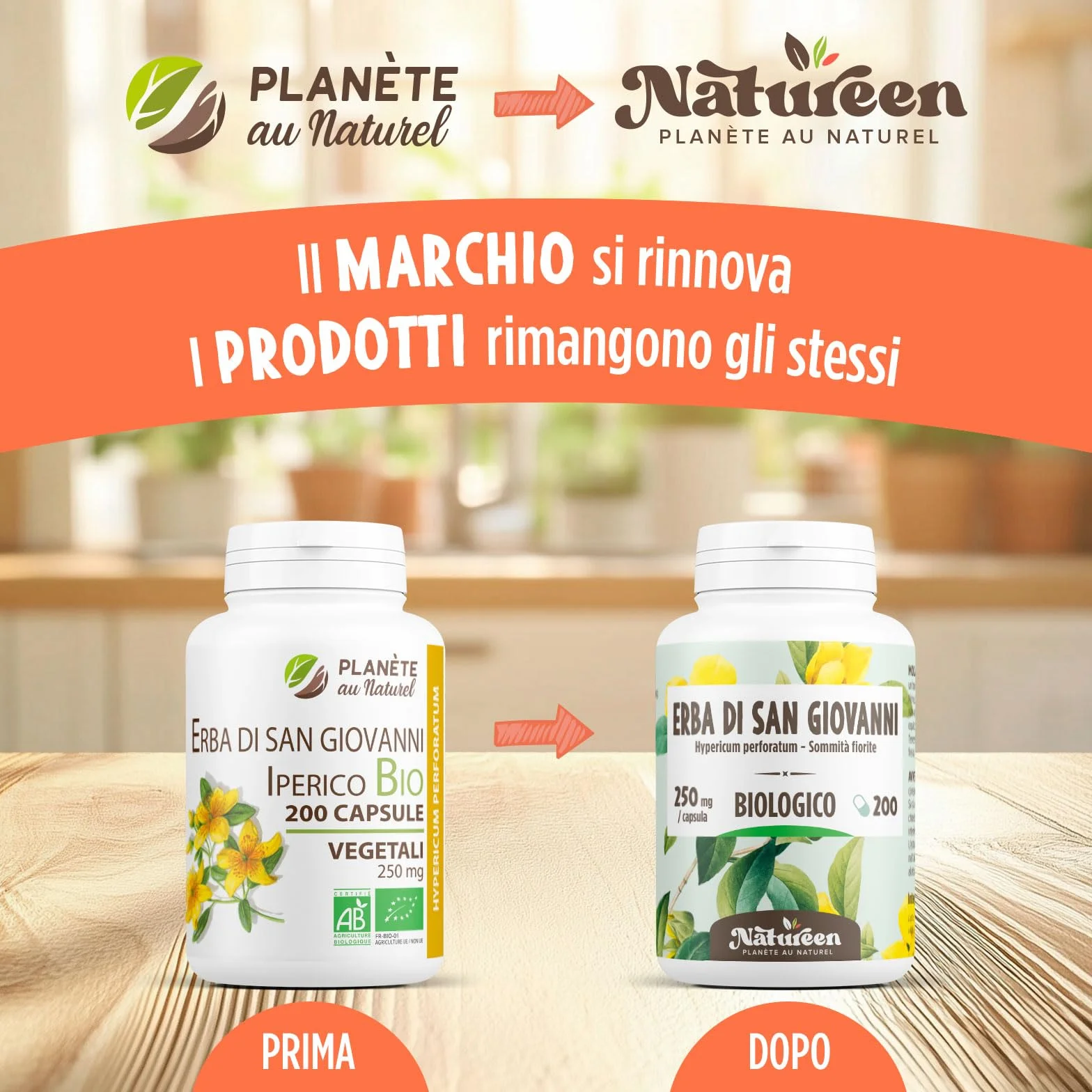 Erba di San Giovanni Bio 250mg - 100 capsule - Hypericum Perforatum - Natureen | Planète au Naturel