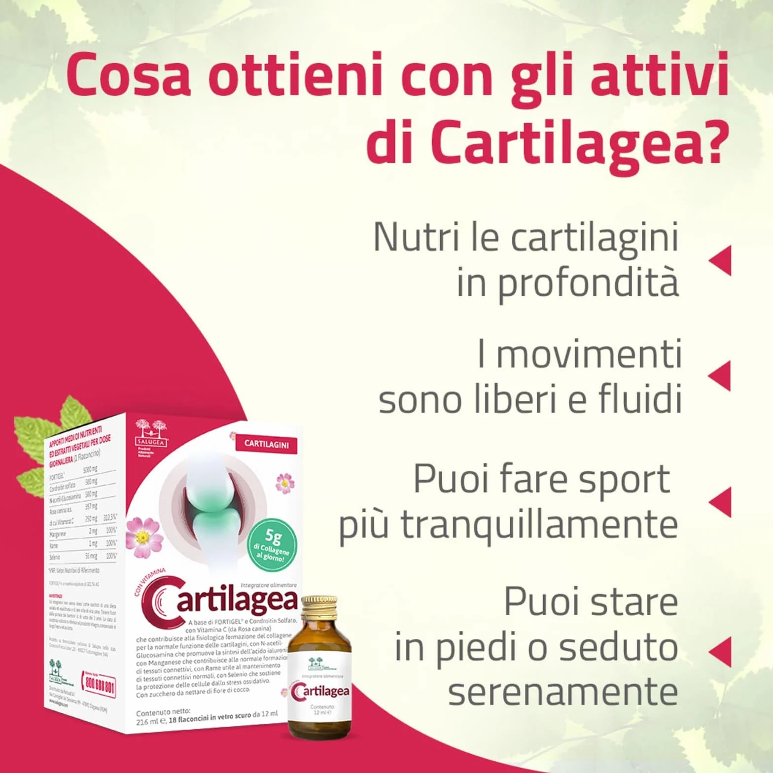 CARTILAGEA Salugea Integratore Cartilagini Collagene Idrolizzato Glucosamina Condroitina Rosa Canina Manganese Rame Selenio 18 Flaconcini
