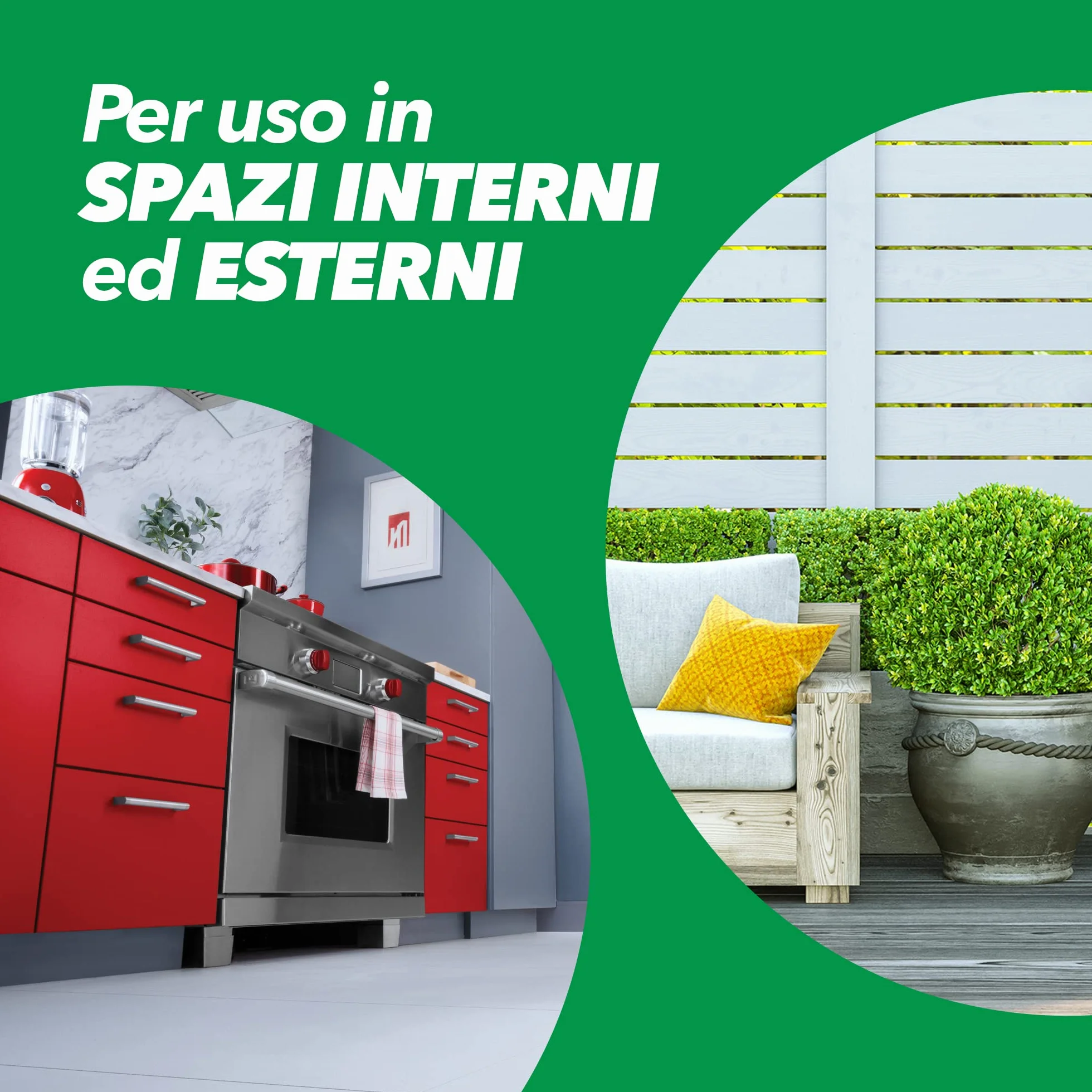 Baygon Esca Formiche, Pronta all'Uso, per Uso in Spazi Interni ed Esterni, Confezione scorta da 4x Esche Insetticida