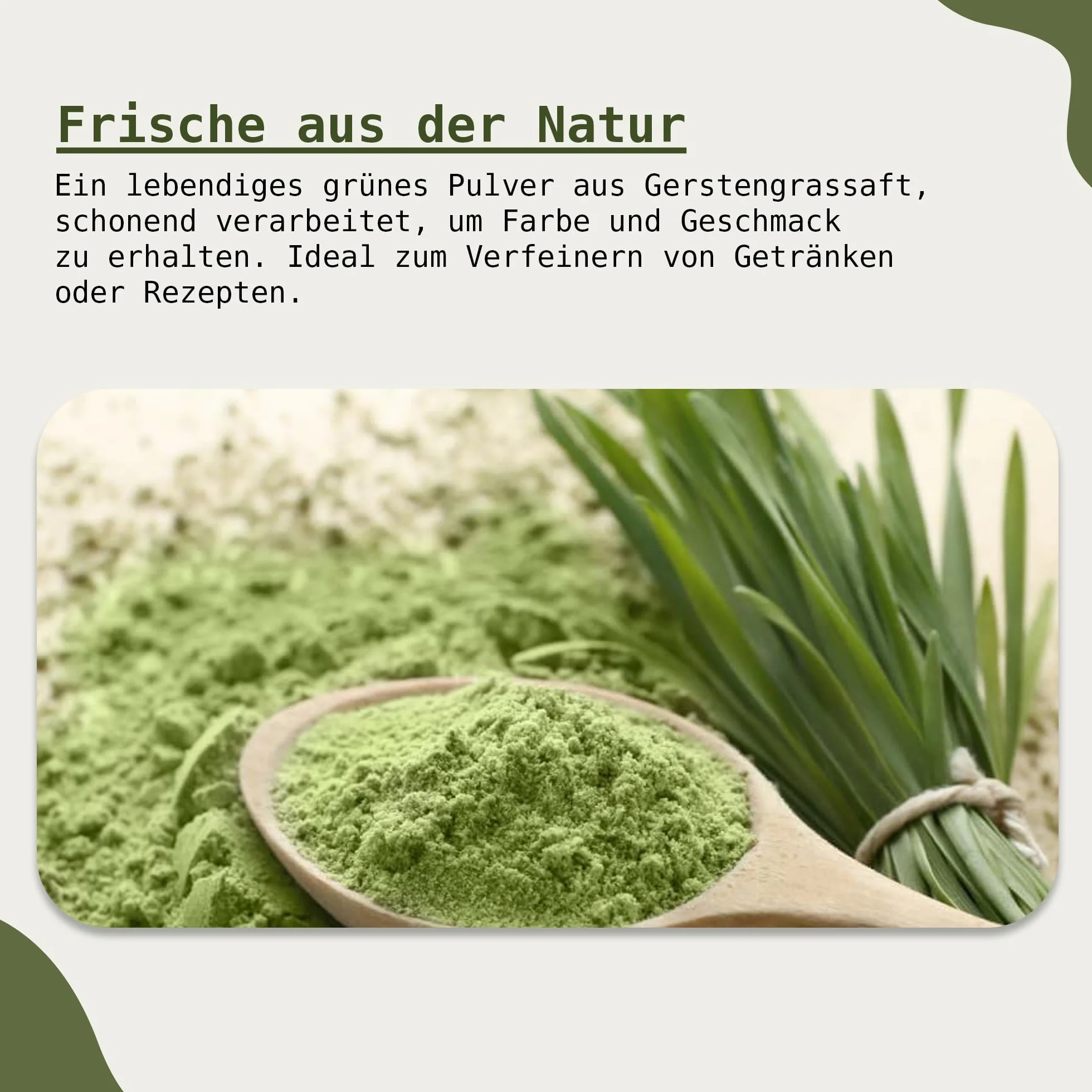 Succo d'erba d'orzo biologico in polvere | certificato di alta qualità | Barley Grass Juice Powder | 100% polvere d'erba d'orzo | La nutrizione secondo Anthony William (200 g)