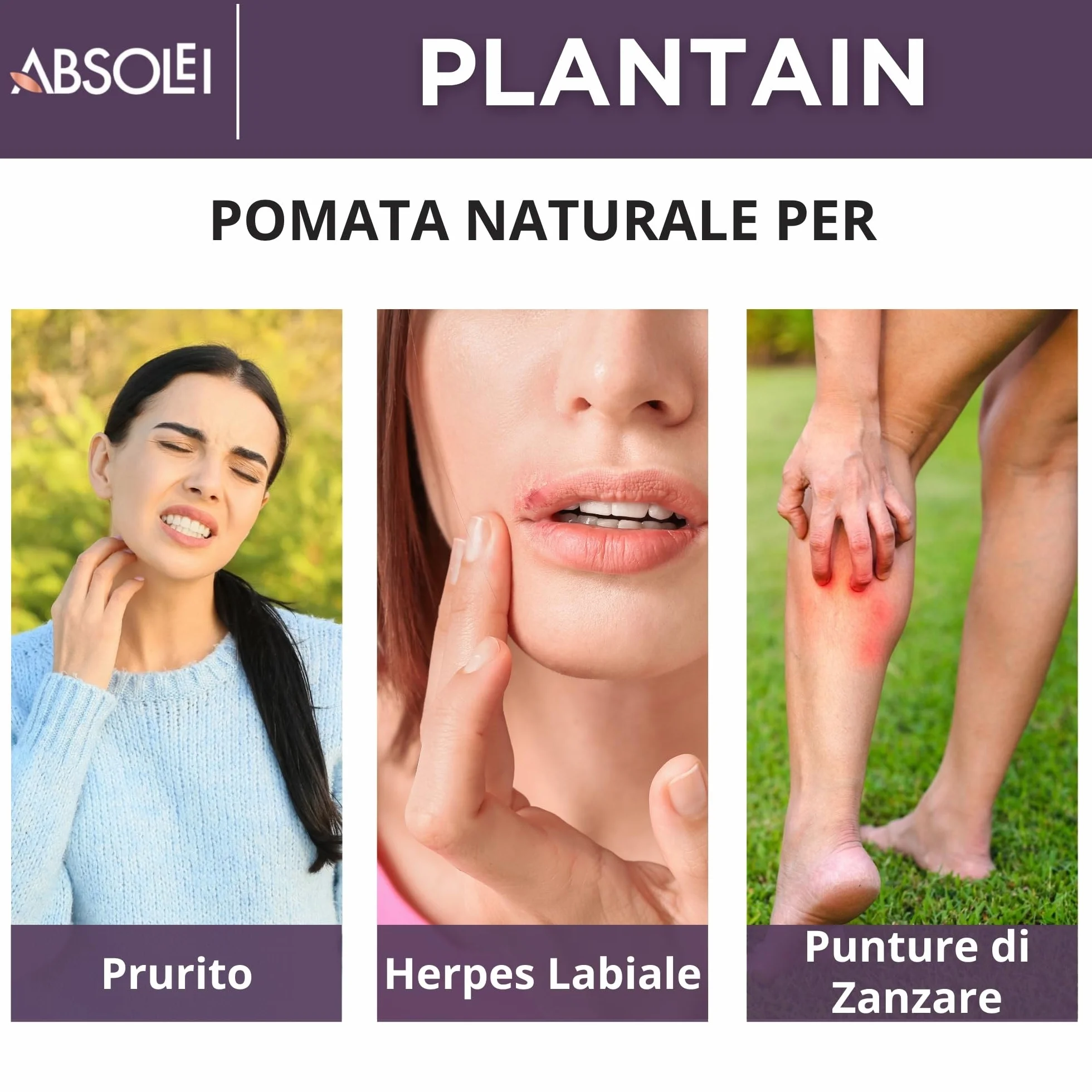 Pomata Piantaggine, Pomata Naturale contro Prurito, Eruzioni Cutanee e Punture di Zanzare, 40 ml