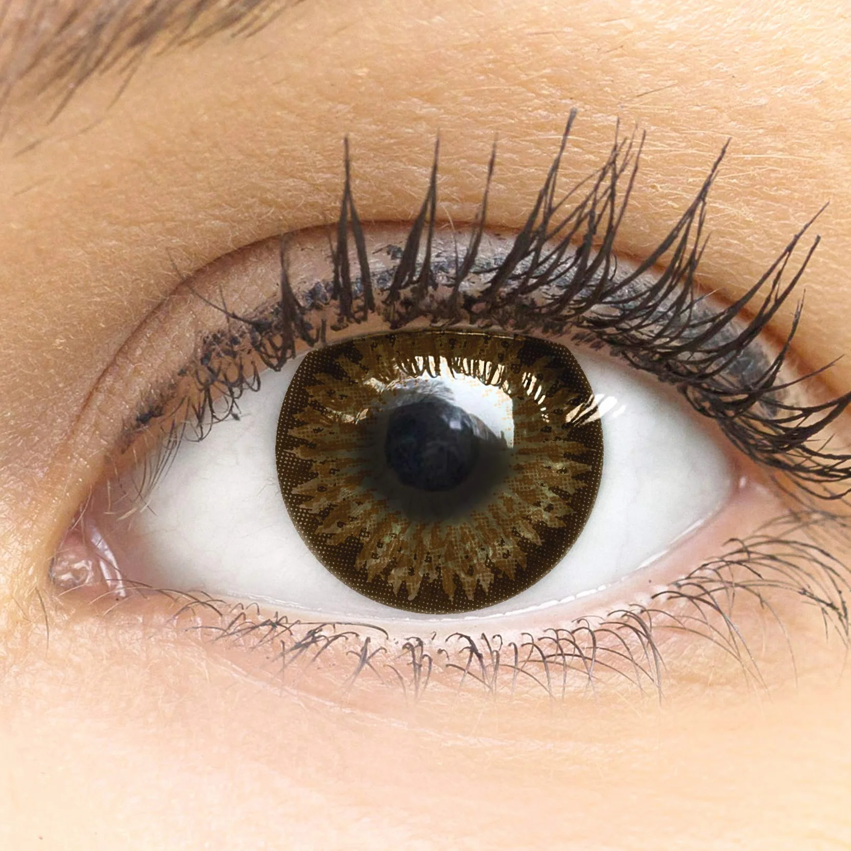 GLAMLENS Lenti a contatto colorate marrone scuro Choco Brown mensili silicone idrogel DIA 14.0 2 pezzi