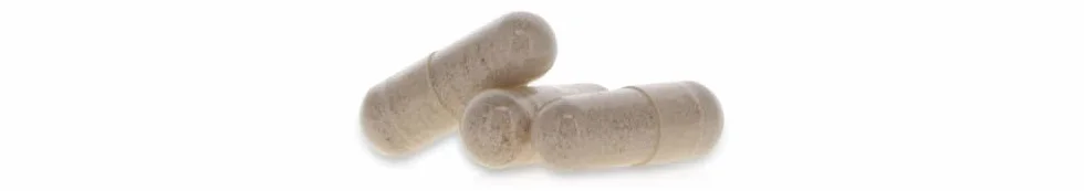 GINKGO BILOBA * 60 mg / 120 capsule * Titolato al 24% min. di flavoni glicosidi e al 6% min. di lattoni terpenici