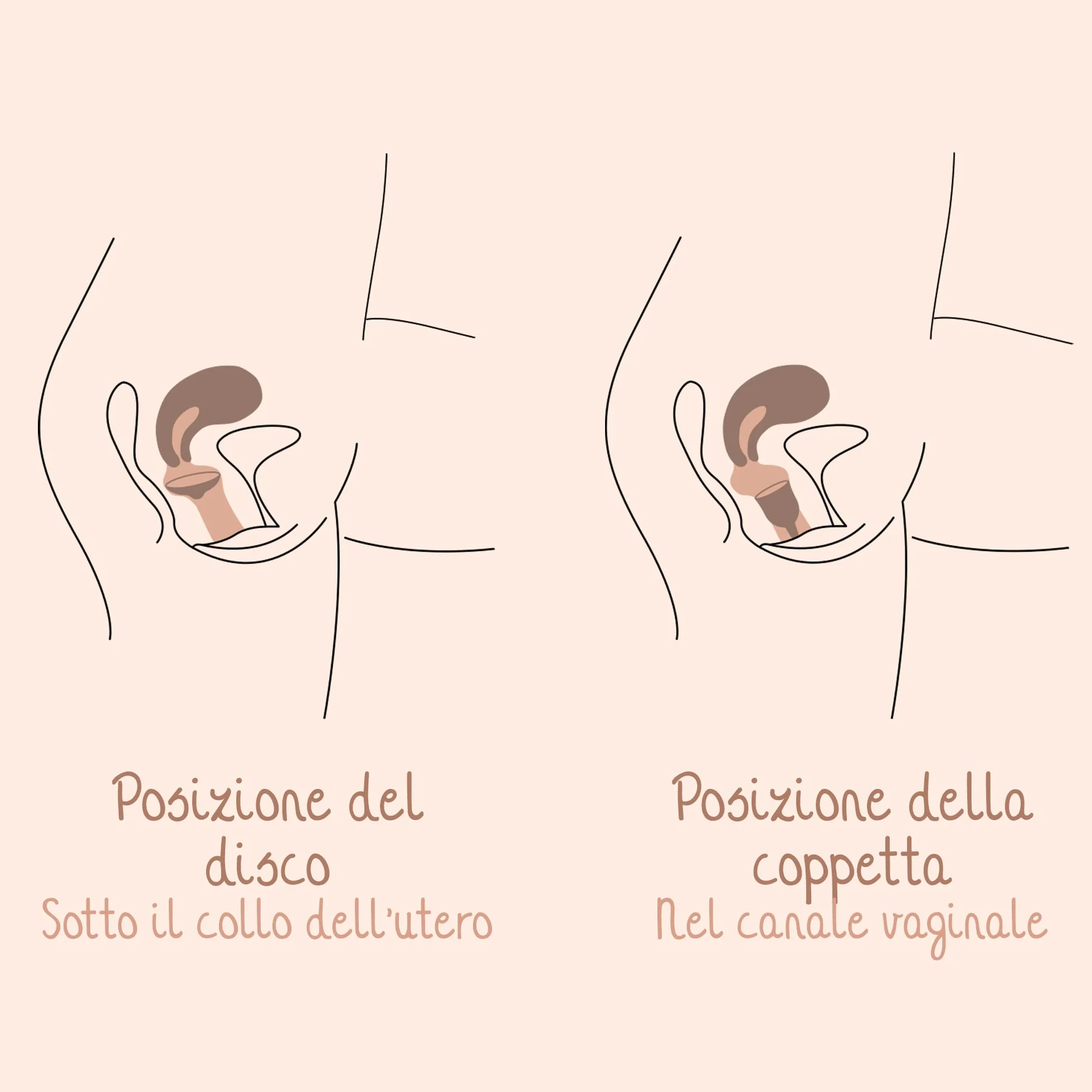 Bamboozy Disco Menstruale con Custodia in Silicone (M) - Disco Menstruale Sostenibile e Riutilizzabile in 100% Silicone Medicale - Senza BPA - Protegge fino a 12 ore - per Sport e Nuoto
