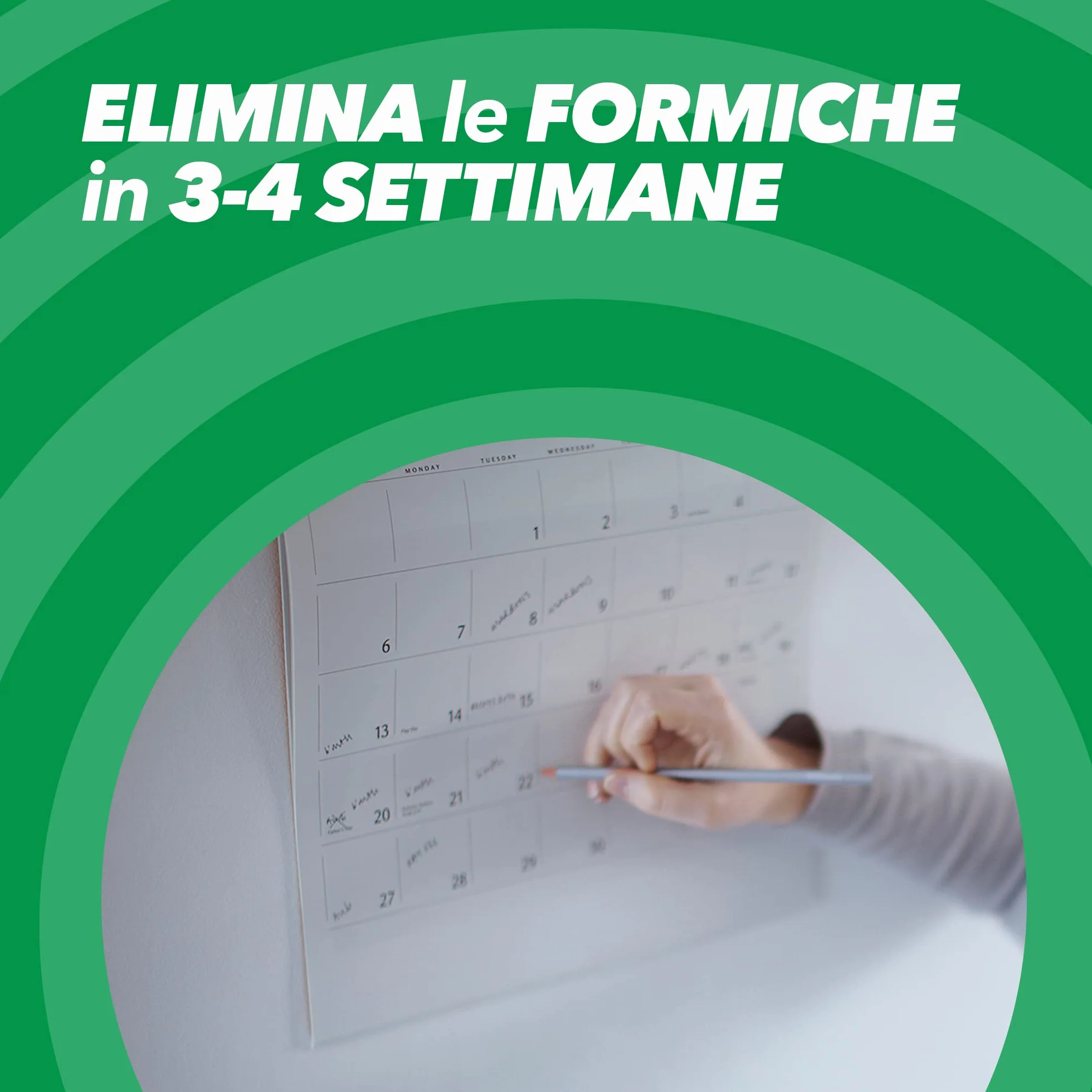 Baygon Esca Formiche, Pronta all'Uso, per Uso in Spazi Interni ed Esterni, Confezione scorta da 4x Esche Insetticida