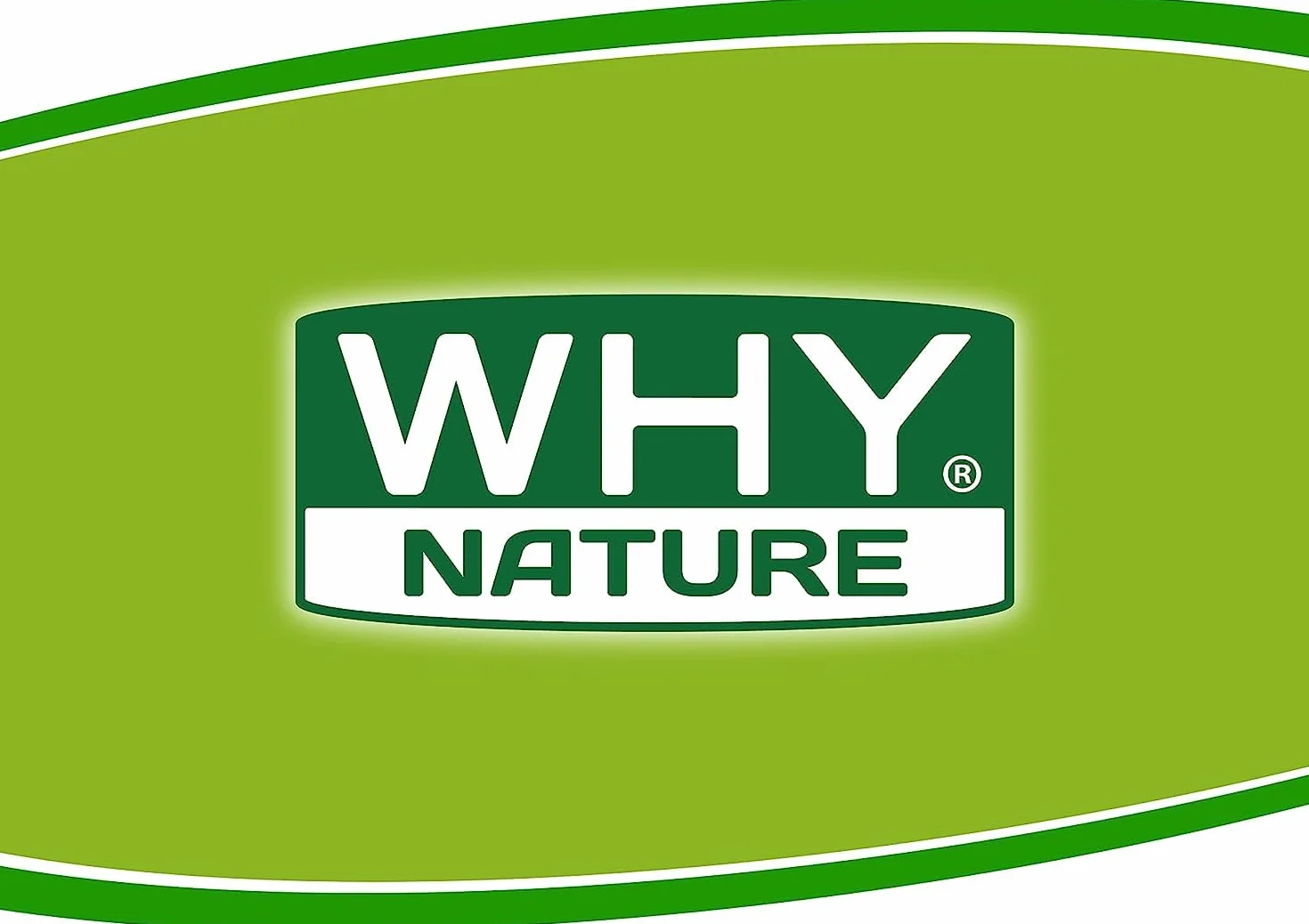 WHY NATURE LOW CARB SCHIACCIATINE PROTEICHE - Snack Proteici Senza Glutine - Snack Salati Gusto Rosmarino - Box da 25 Pezzi - 30 gr
