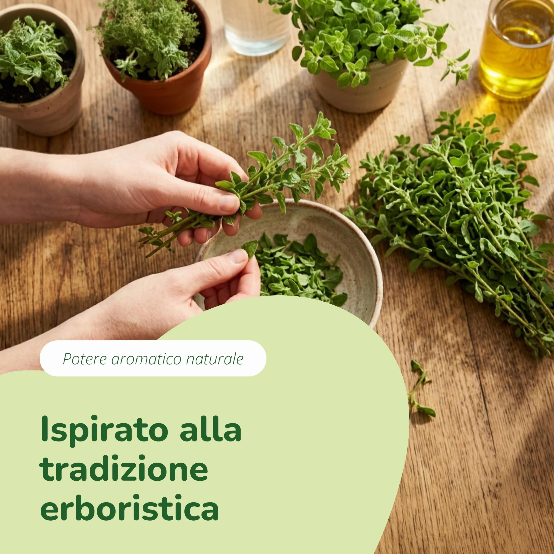 Olio di ORIGANO BIO Vegavero® 70% Carvacrolo 2,5% Timolo 90 capsule Vegan