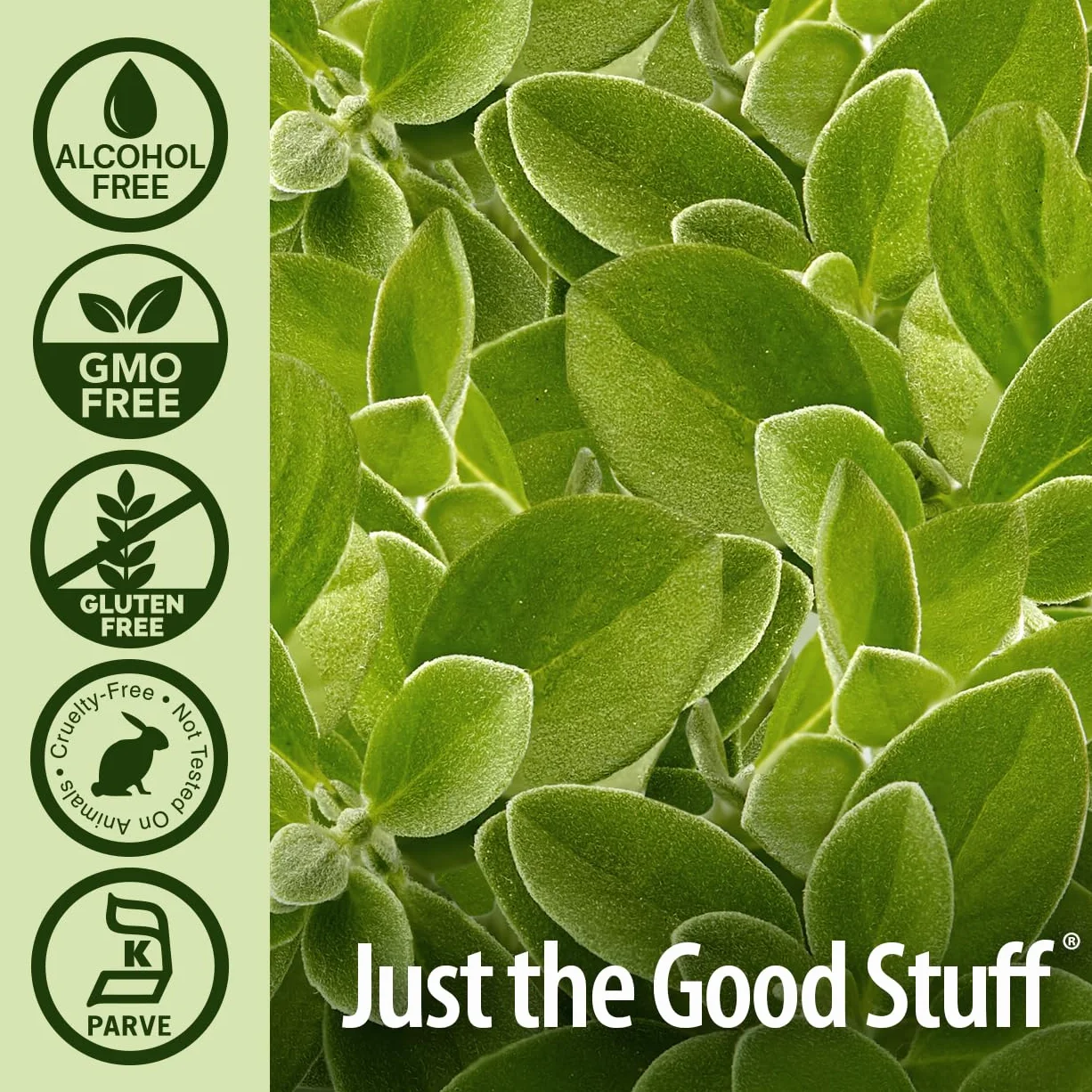 Oil of Oregano, Alcohol-Free (30 ml) - Nature's Answer