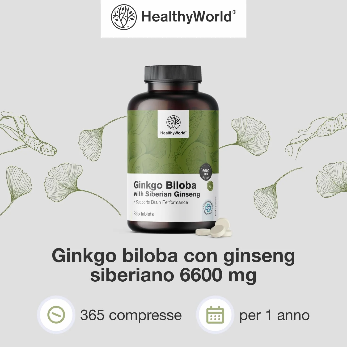 HealthyWorld Ginkgo Biloba con Ginseng siberiano 6600 mg 365 compresse Estratto 50:1 120mg 10:1 60mg