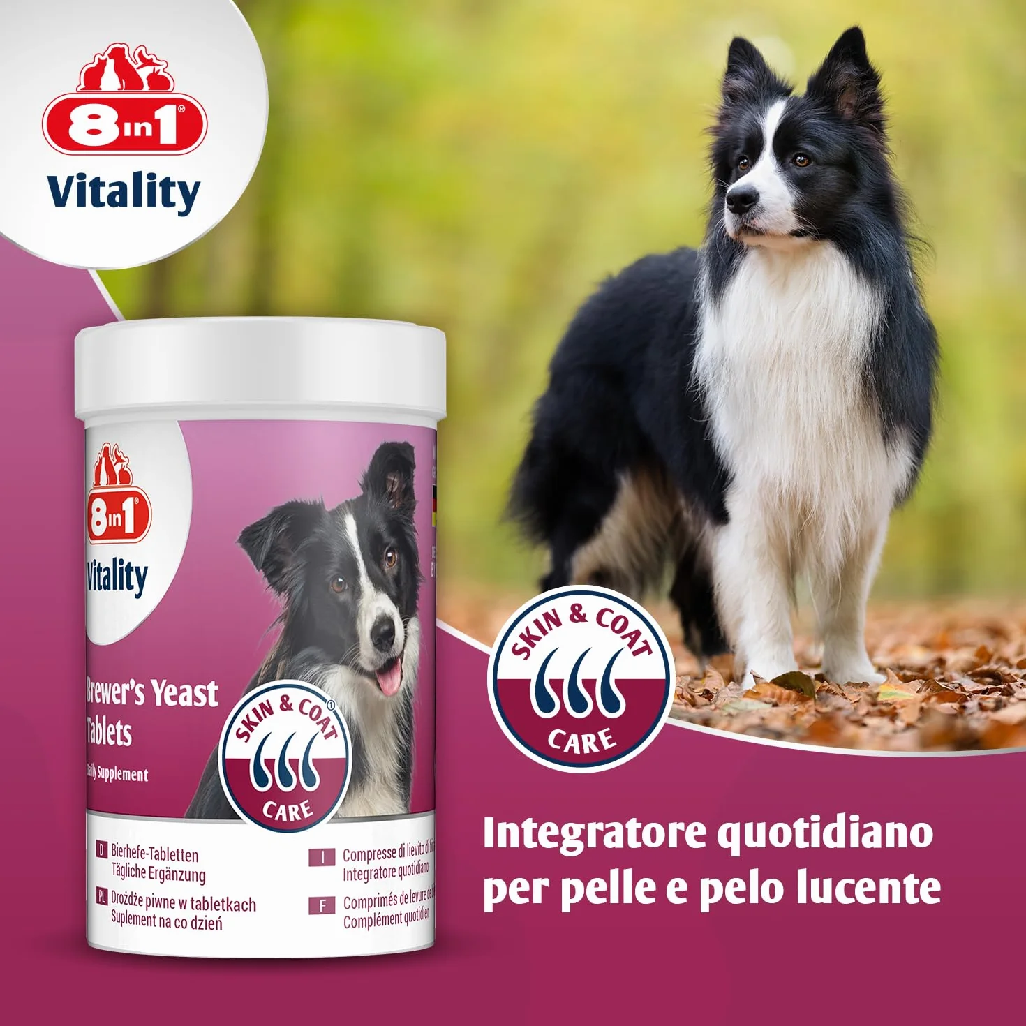 8in1 Compresse di Lievito di Birra per cani - Supporto per pelle e pelo, 1 lattina (260 compresse)
