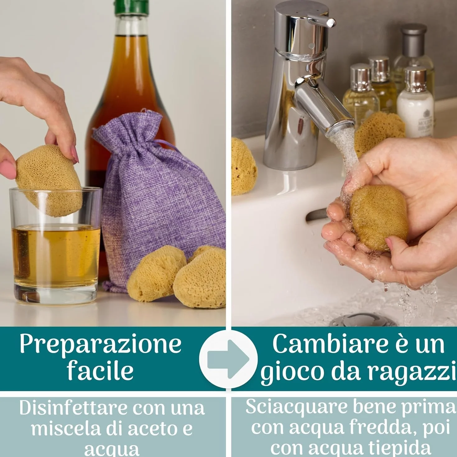 Spugna Naturale del Mediterraneo per il Corpo, Non Sintetica (5 PEZZI - SPUGNA MESTRUALE GRANDE DA 6-7 CM)