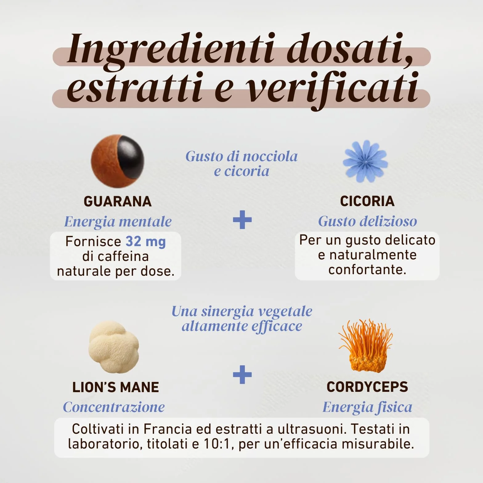 French Mush BOOST - Alternativa al caffè ai funghi adattogeni biologici: Lion's Mane & Cordyceps - Focus, Energia & Digestione - Vegano - Made in France - 20 dosi