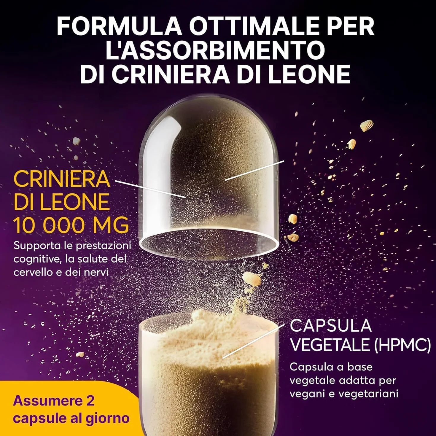Lions Mane Mushroom Capsule 10.000 mg – Estratto Altamente Concentrato di Hericium Erinaceus 10:1 – Testato in Laboratorio con Certificazione – Integratore Lions Mane – 180 Capsule Vegane
