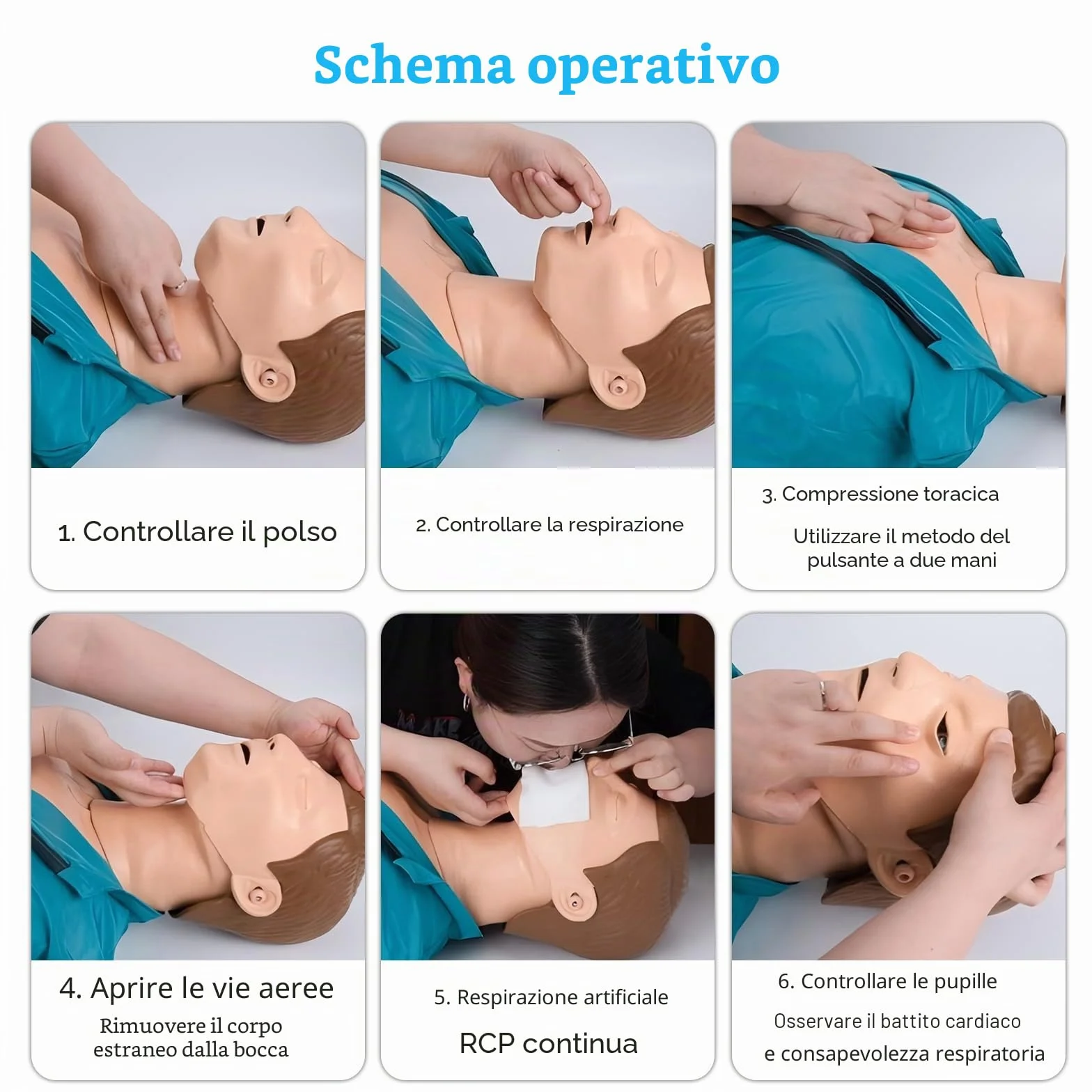 Manichino Rianimazione Adulti Mezzo Corpo RCP Kit Addestramento Modello Didattico