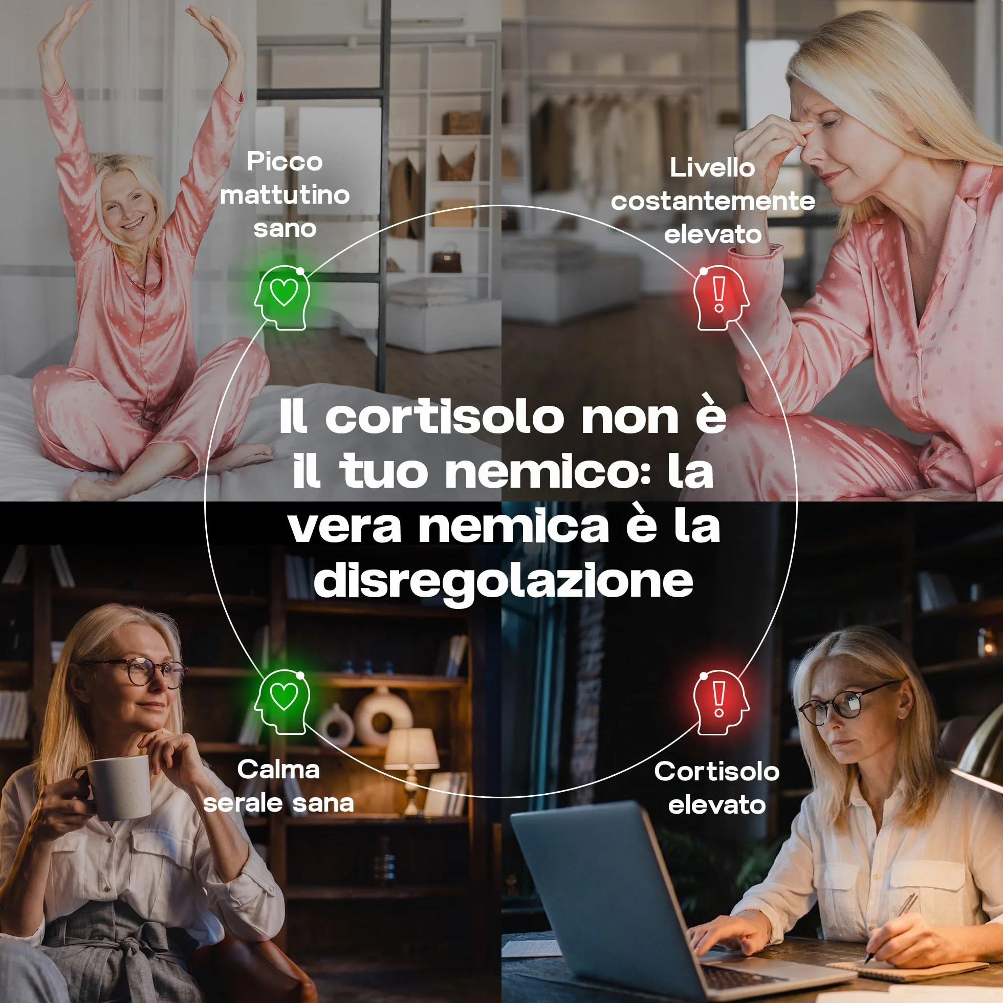 Regolazione del Cortisolo Giorno e Notte - Sistema a 2 fasi per resilienza e calma - Formula anti-stress con KSM-66® Ashwagandha, L-teanina e 6+ adattogeni – Testato in laboratorio,120 capsule, UE