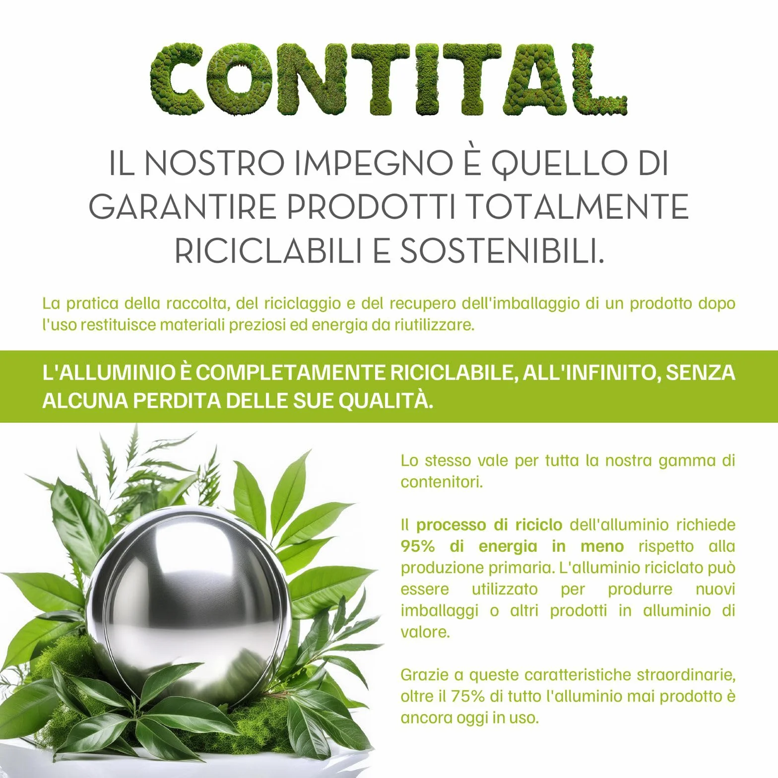 CONTITAL Rotolo Alluminio Professionale per Alimenti | 30 cm x 100 mt | Accessori Cucina, Carta Stagnola Alimenti, Rotolo Alluminio Cucina con Astuccio