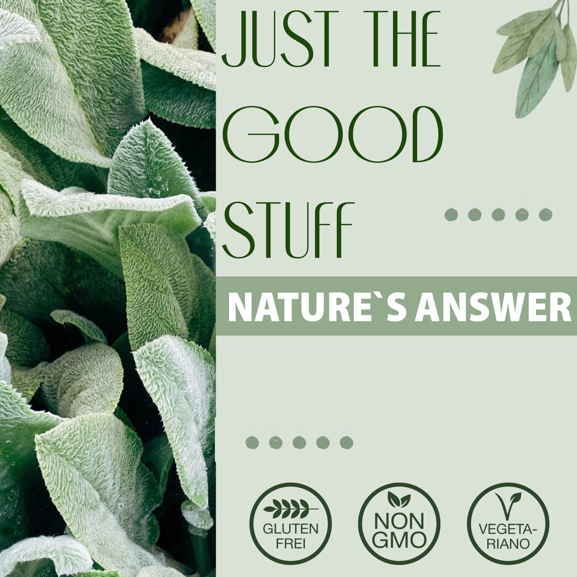 Nature's Answer Licorice Root 2000mg 30ml