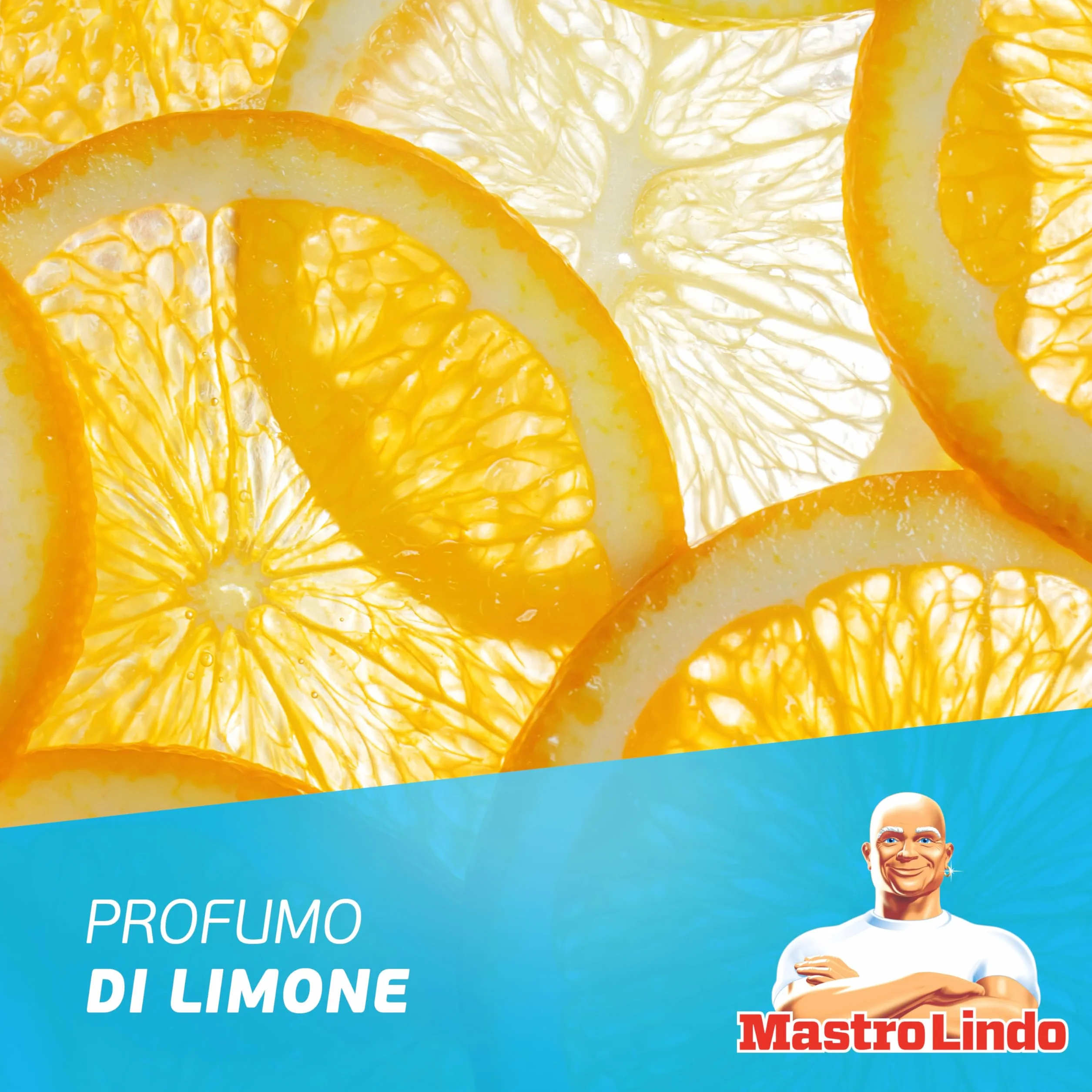 Mastro Lindo Liquido Detersivo Per Pavimenti Multiuso, 12 x 930ml, Profumo Limoni Di Sicilia