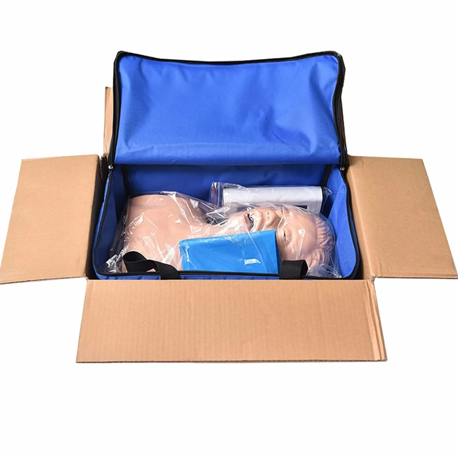 Manichino di intubazione adulto in PVC per insegnamento, modello vie aeree 220V