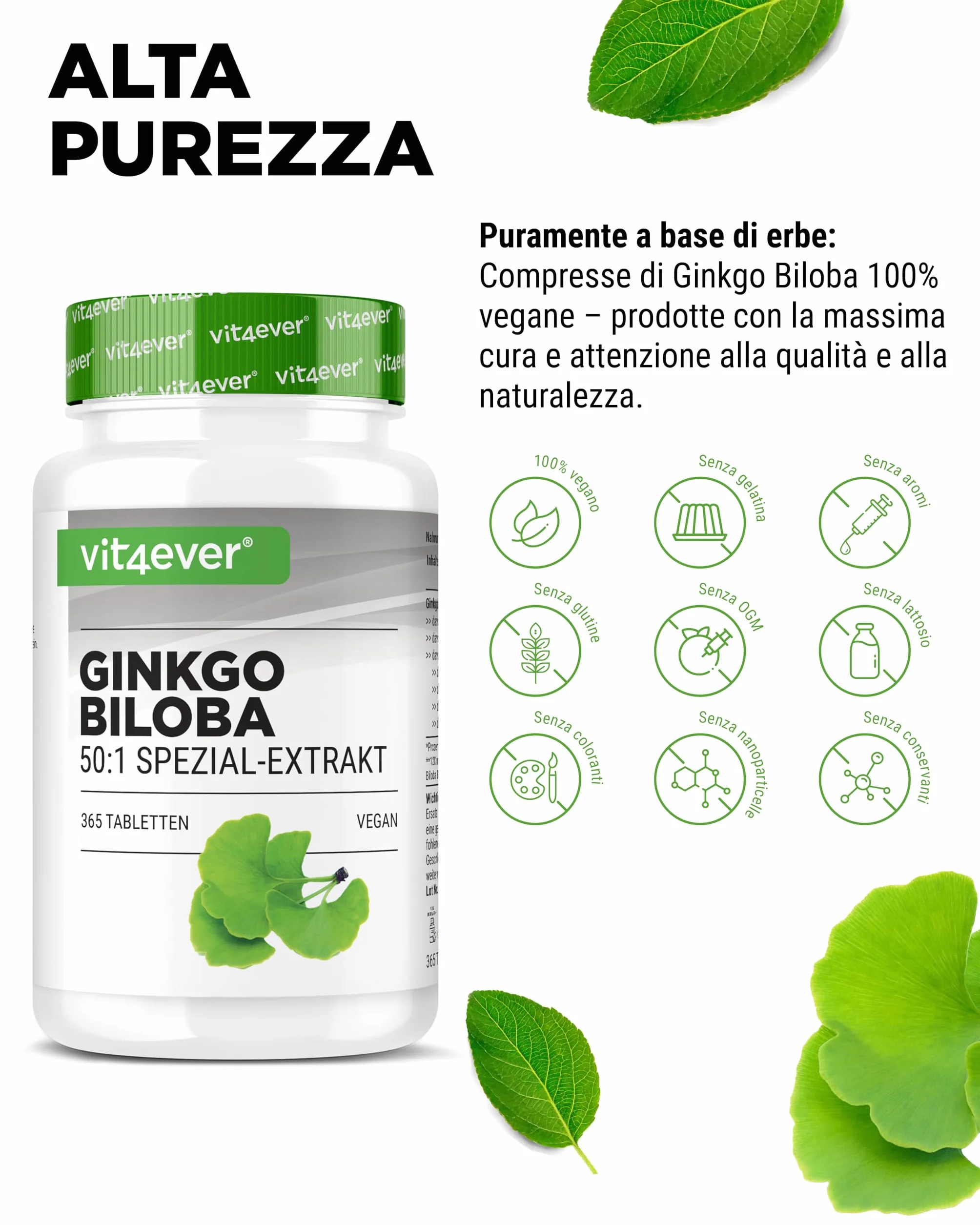 Vit4ever Ginkgo Biloba 6000 mg 365 Compresse Estratto Premium con Flavonglicosidi Ginkgolidi Lattoni Terpenici Alto Dosaggio Vegano