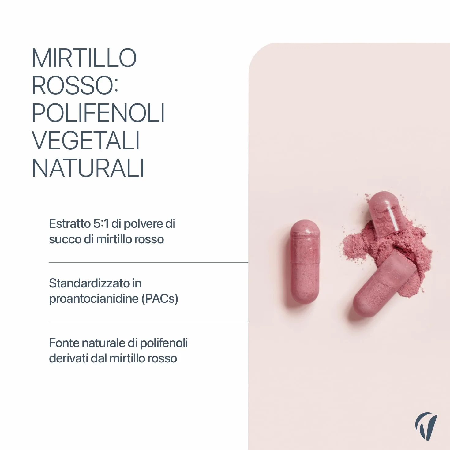 Mirtillo Rosso con Vitamina C – 1250 mg di succo di mirtillo rosso in polvere al giorno – 37,5 mg PAC – 180 capsule vegane – Senza additivi inutili – Vitavea
