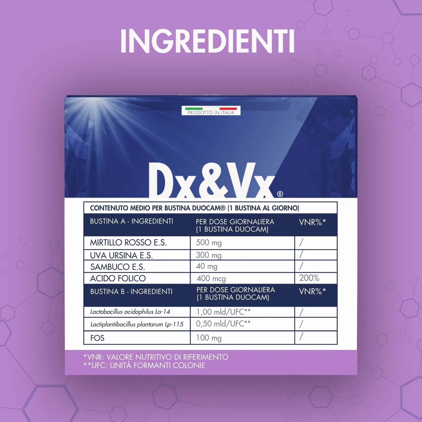 Dx&Vx Vie Urinarie Donne, Integratore per la Funzionalità delle Vie Urinarie, con Fermenti Lattici Vivi, Mirtillo Rosso, Uva Ursina e Acido Folico, Made in Italy, 28 Bustine