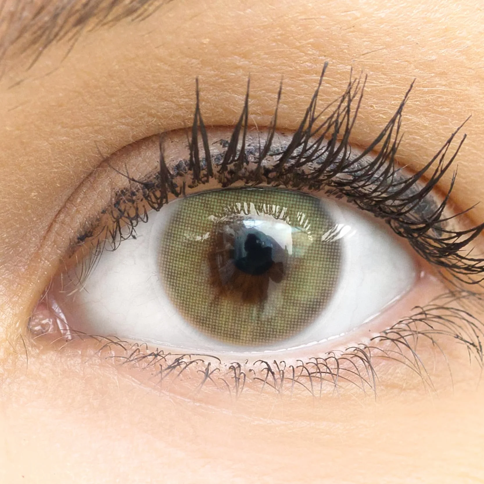 GLAMLENS Lenti a Contatto Colorate Verdi Light Green Mensili Silicone Idrogel 2 Pezzi DIA 14.0