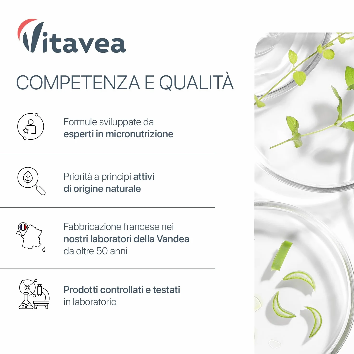 NAC N-acetil-L-cisteina 590 mg 120 capsule vegane Supporto glutatione antiossidante Vitavea