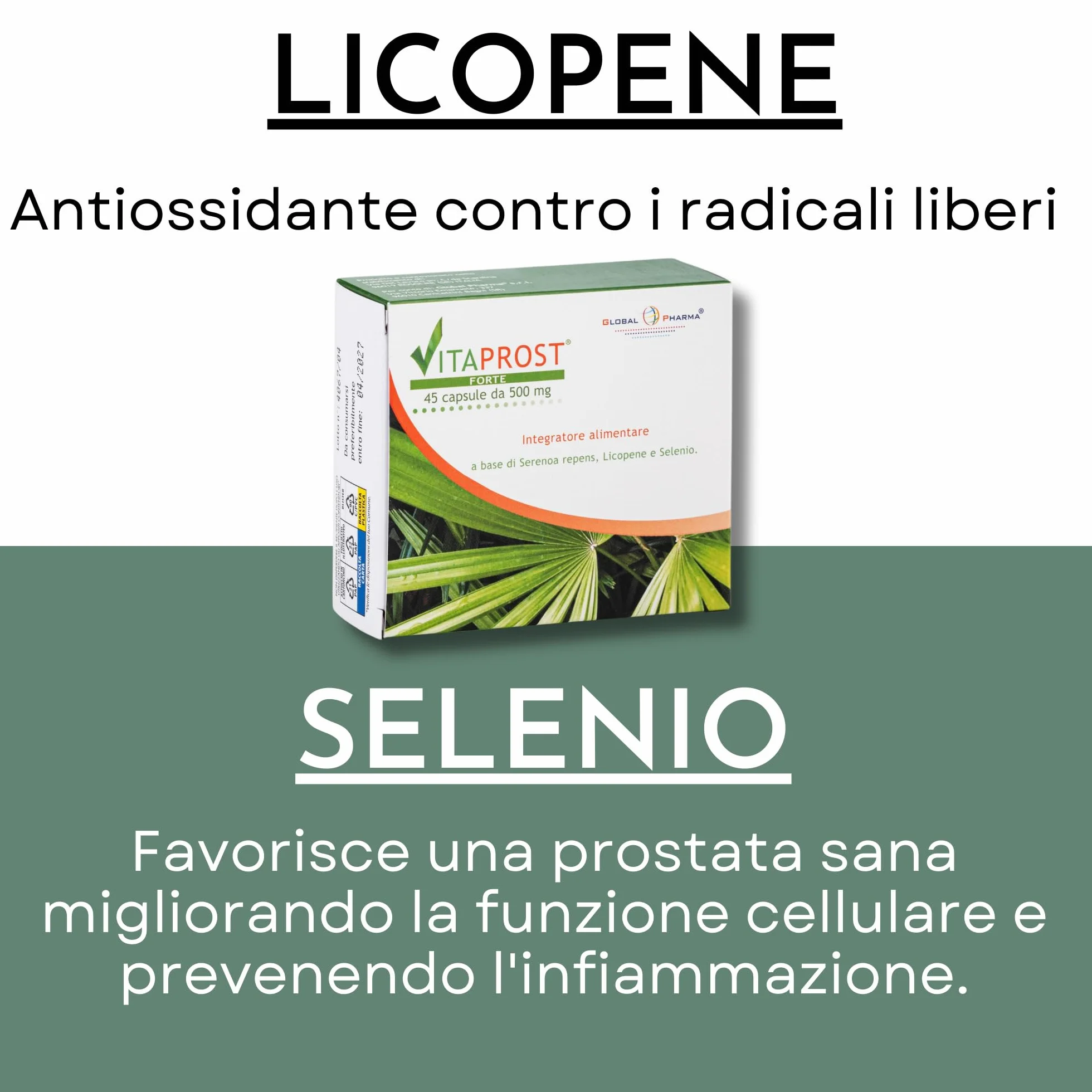 VITAPROST FORTE Global Pharma Integratore prostata 800mg SERENOA REPENS Saw Palmetto Licopene Selenio 45 Capsule