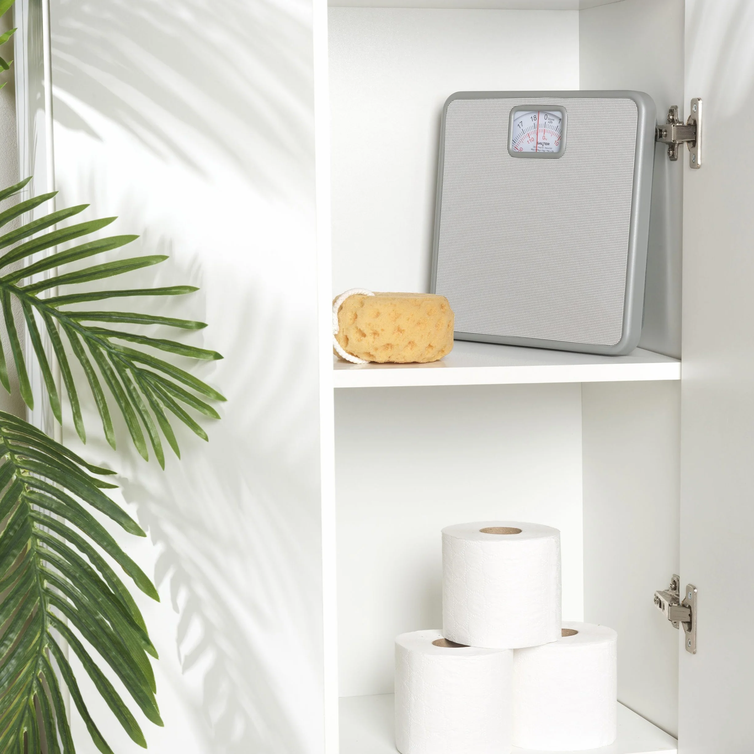 Salter 433 SVDR Bilancia pesapersone meccanica da bagno argento 120 kg