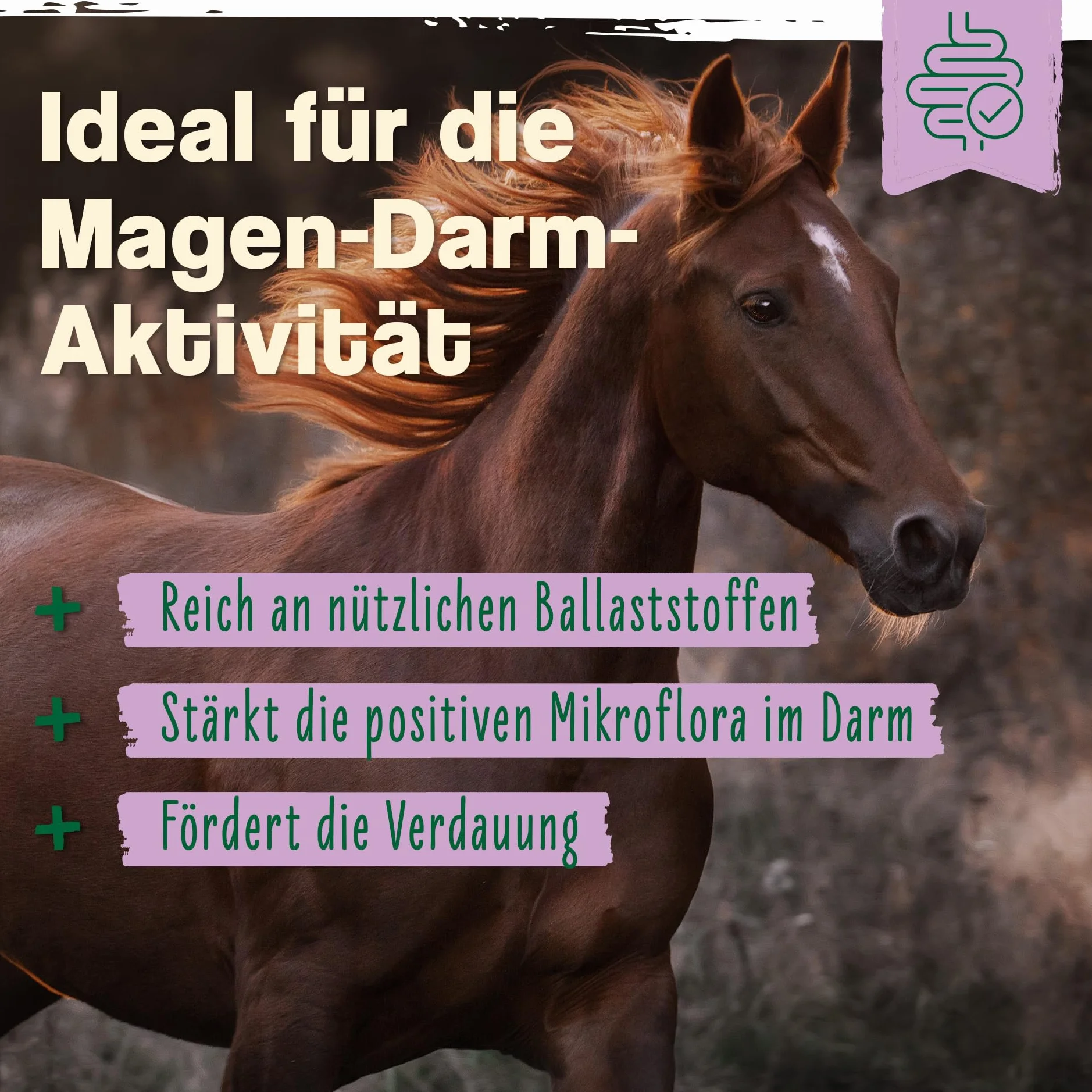 Ida Plus Lievito di birra Bt 6 kg Integratore alimentare per cavalli e pony pelo lucido pelle forte supporta digestione flora intestinale vitamine gruppo B