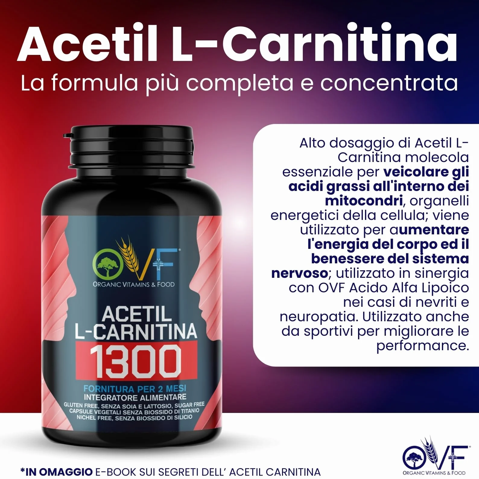 Acetil L-CARNITINA 1300mg 120cps - La Carnitina Energia Metabolismo dei Grassi - Made in Italy