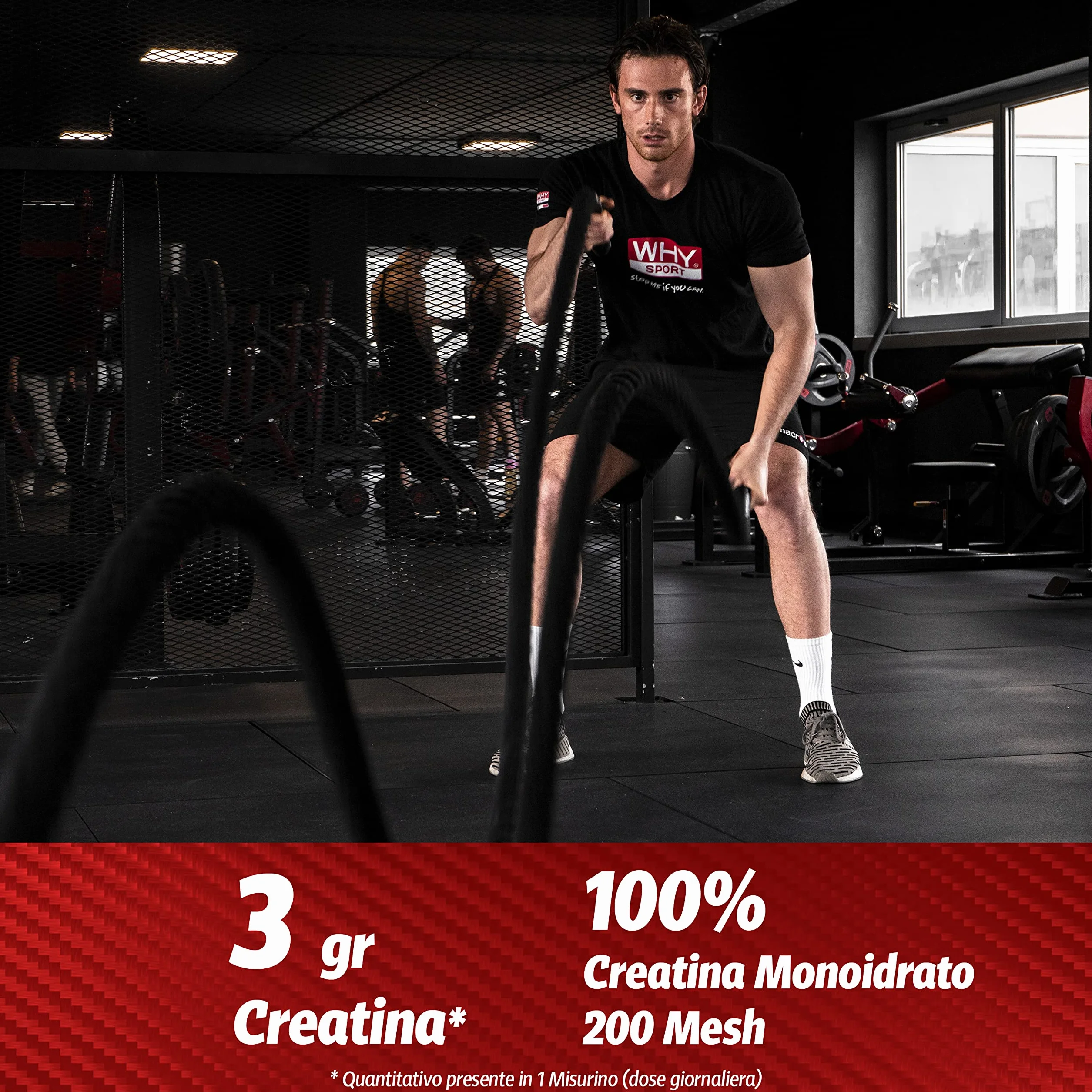 WHY SPORT CREATINA 200 MESH - Creatina - Pre Workout - Integratore Alimentare a Base di Creatina Monoidrato - 200 g