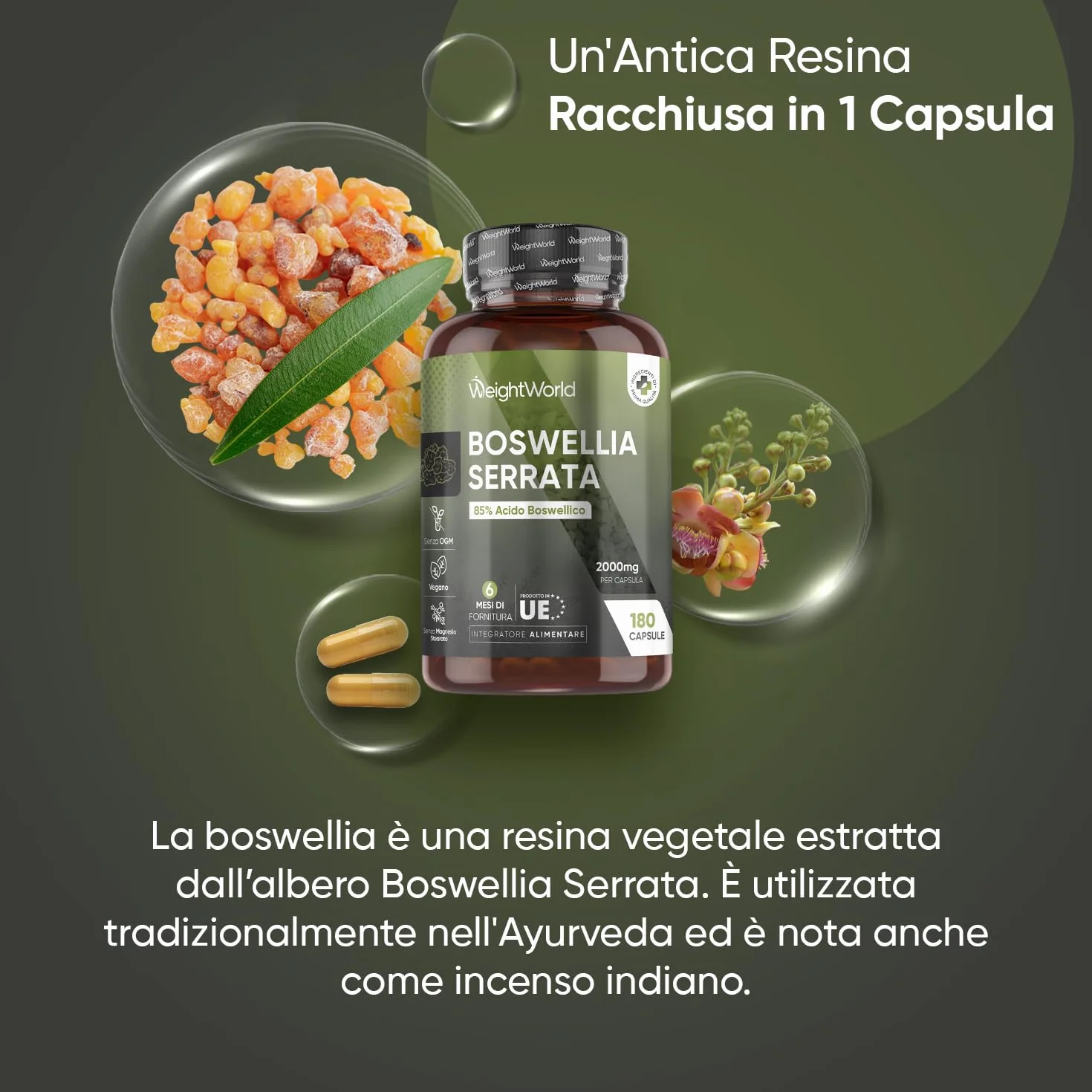 Boswellia Serrata WeightWorld, 180 Capsule Vegane (6 Mesi) da 2000mg, 85% Acidi Boswellici, Estratto 5:1, 1 Sola Capsula al Giorno, Boswellia Integratore, Senza Magnesio Stearato, Prodotto in Europa