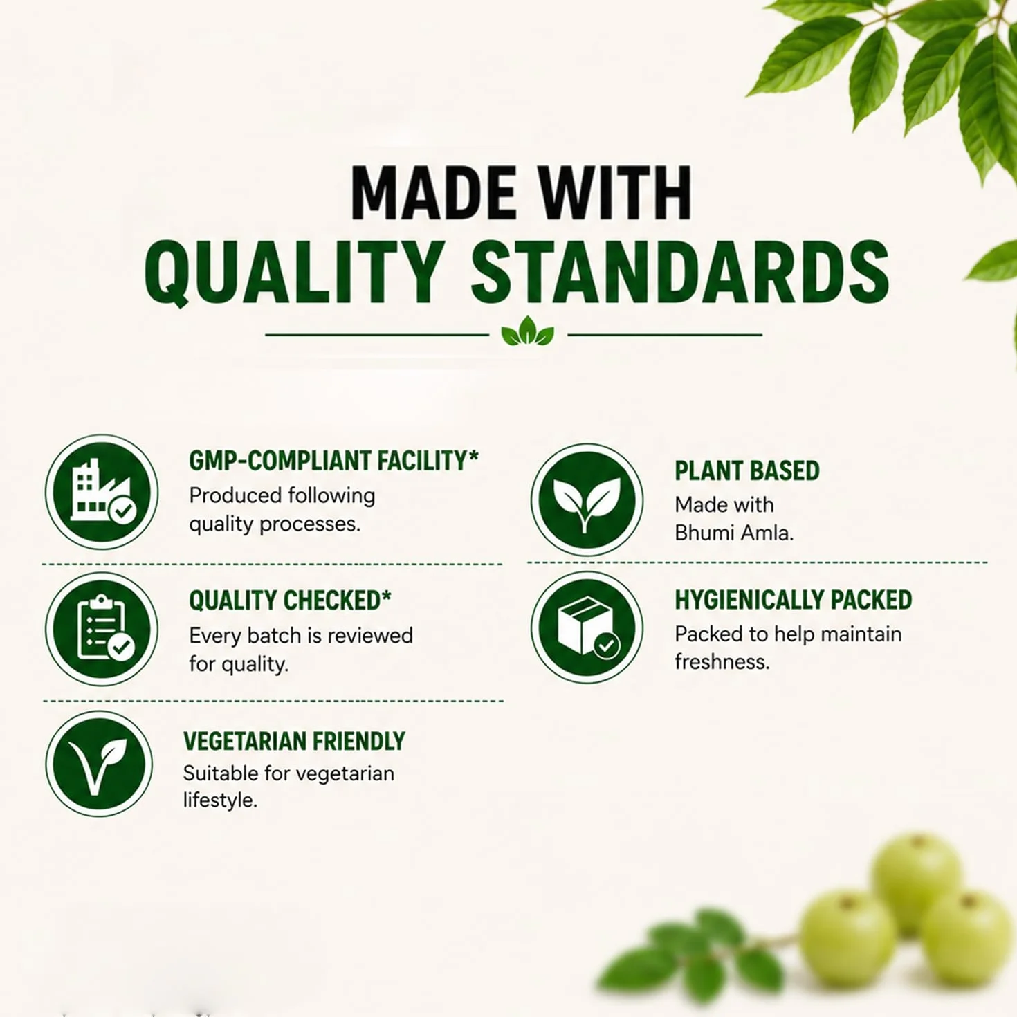 Vedikroots Bhumi Amla Powder Organic Pure Ingredient Extract for Healthy Liver Digestion