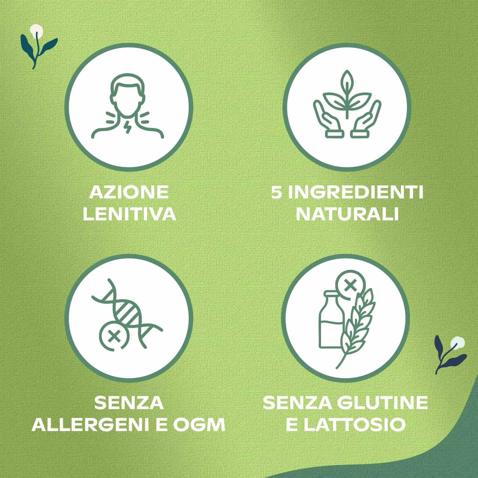AlmaCalm Alma Farmacie, Sciroppo per Tosse ad Azione Lenitiva, Con Ingredienti Naturali, Malva, Sambuco e Papavero, Anche per Bambini, Bassa Concentrazione di Zuccheri, 200 ml
